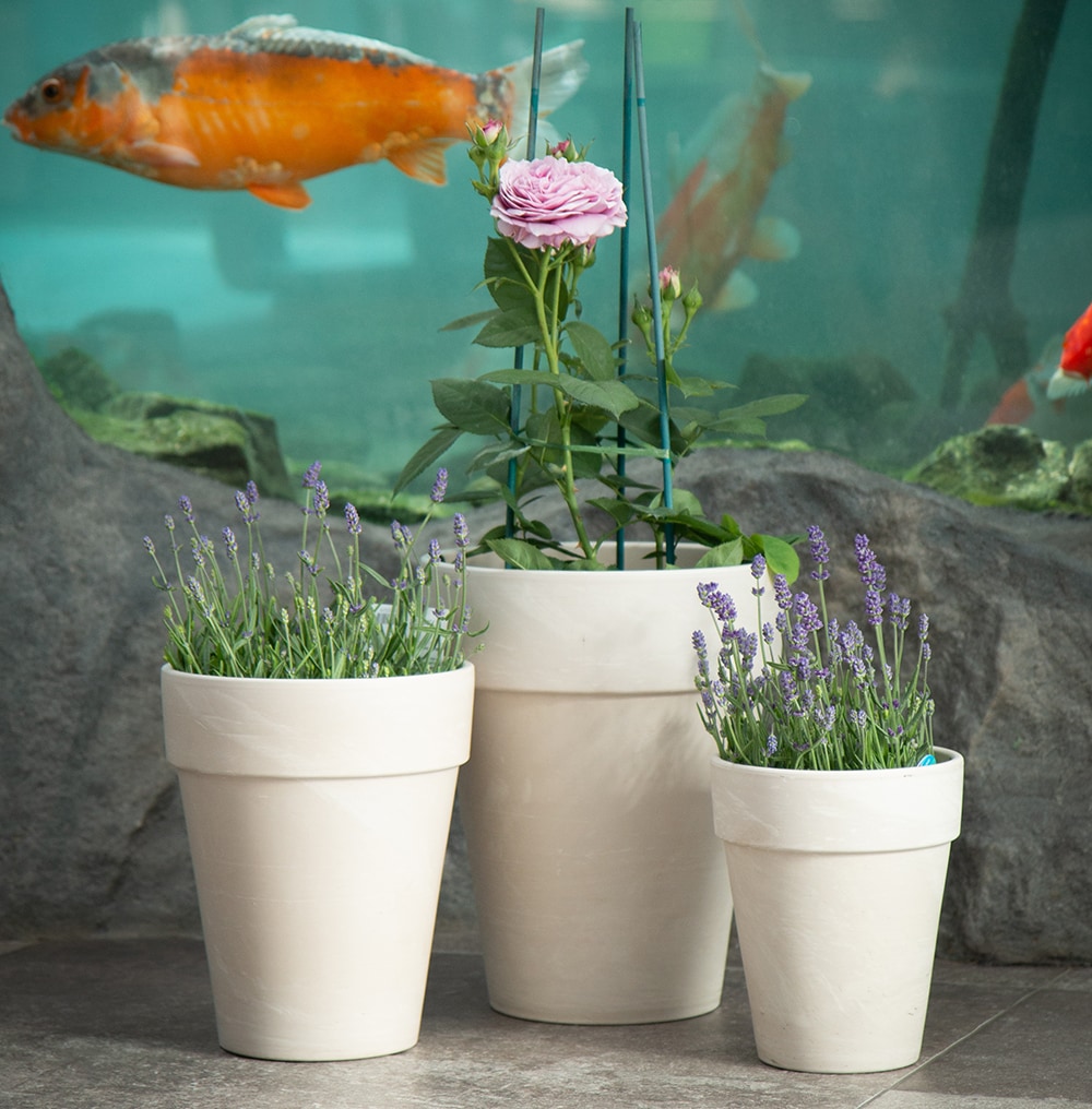  805554 Planter-Window-Box - View #5