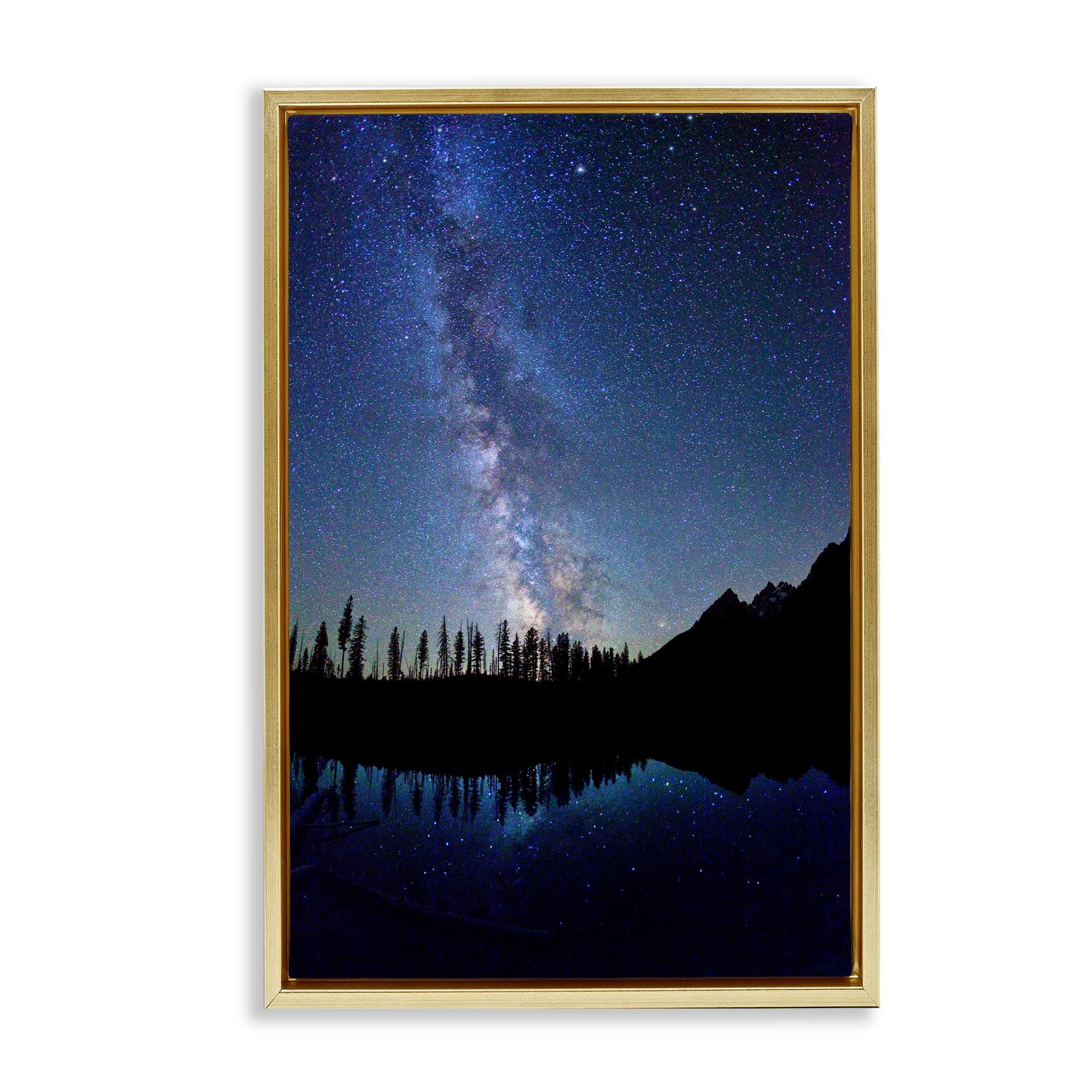Stupell Industries BT-404-FFG-20X30 Nebula Reflection in Lake Floating Frame design by Royce Bair