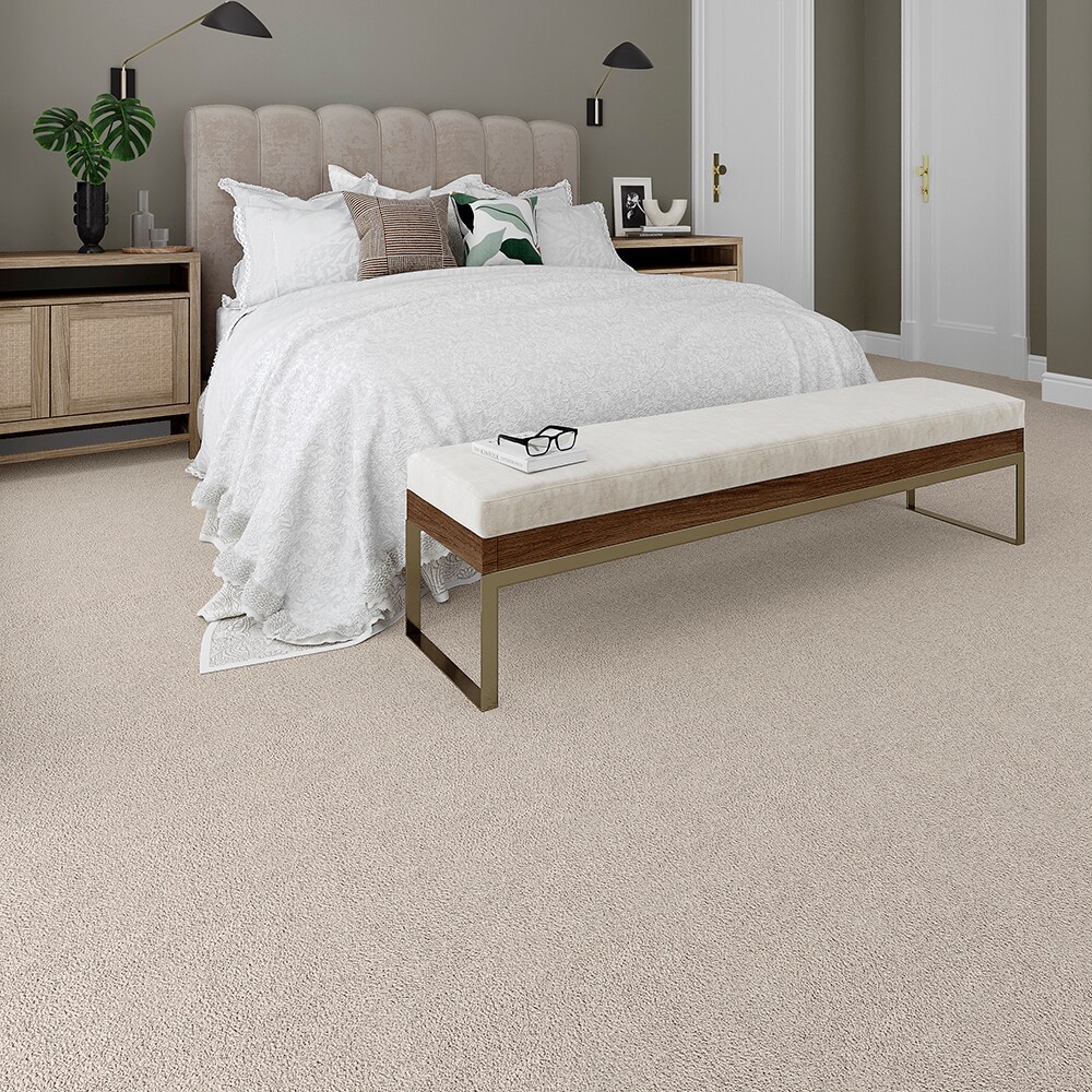 STAINMASTER PetProtect STP25-L013-0808 Carpet-Samples - View #2