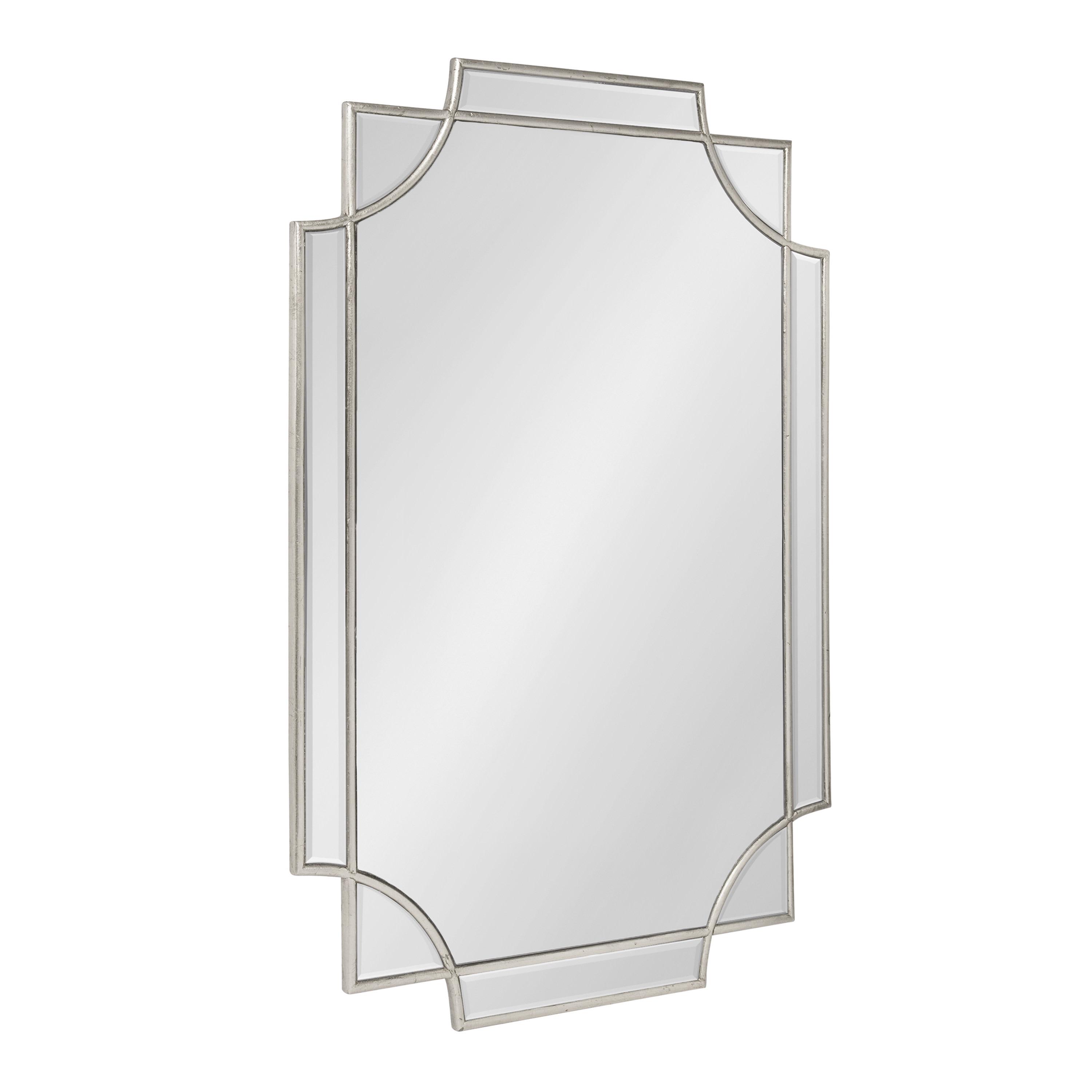 Elegant Transitional Silver Wood Full-Length Mirror, 39.35x28.25