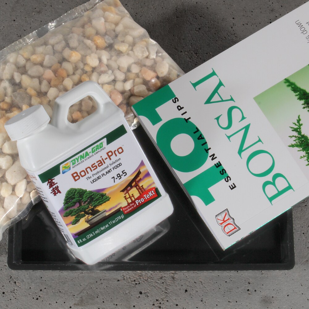 Brussel's Bonsai SPCOMBO1 House-Plant-Accessories - View #3