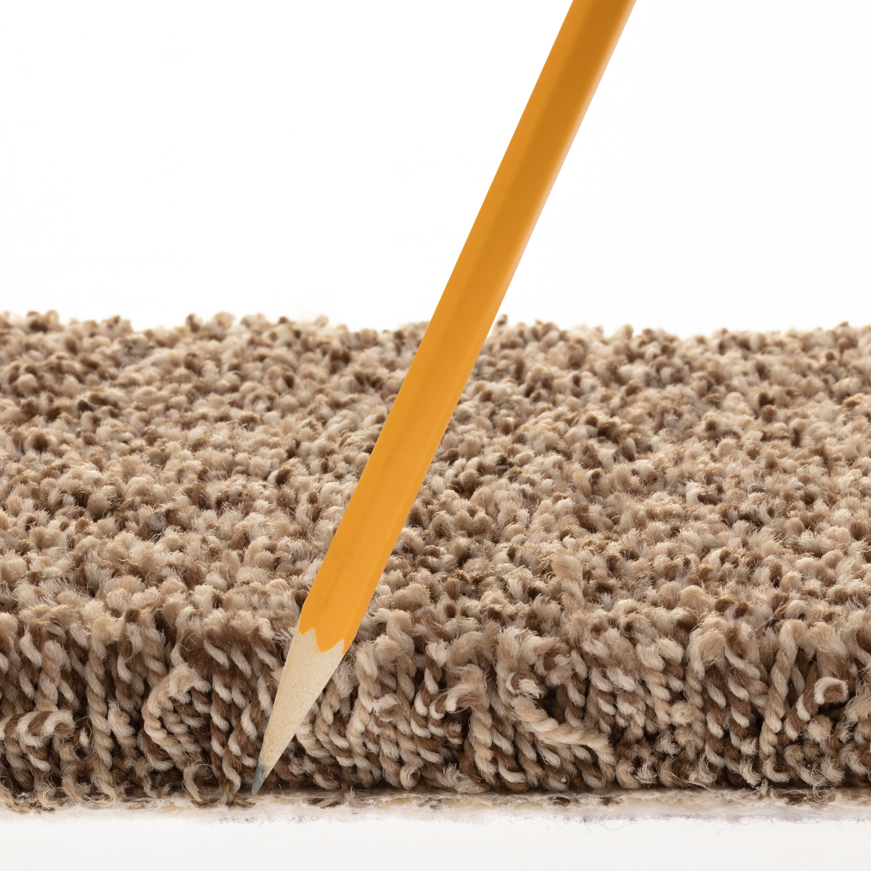 STAINMASTER PetProtect 7L85900756 Carpet-Panel - View #7