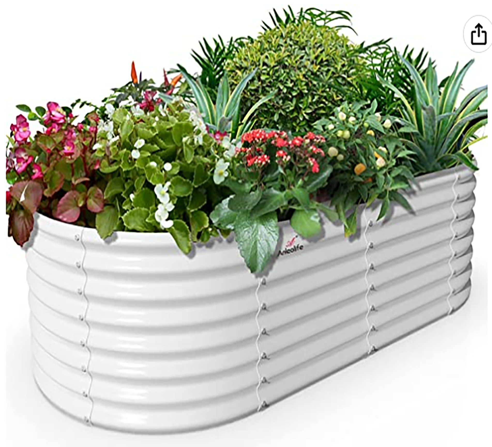 Damerin RBSZYYX-04 48-in W x 96-in L x 24-in H Antique White Metal Raised Garden Bed