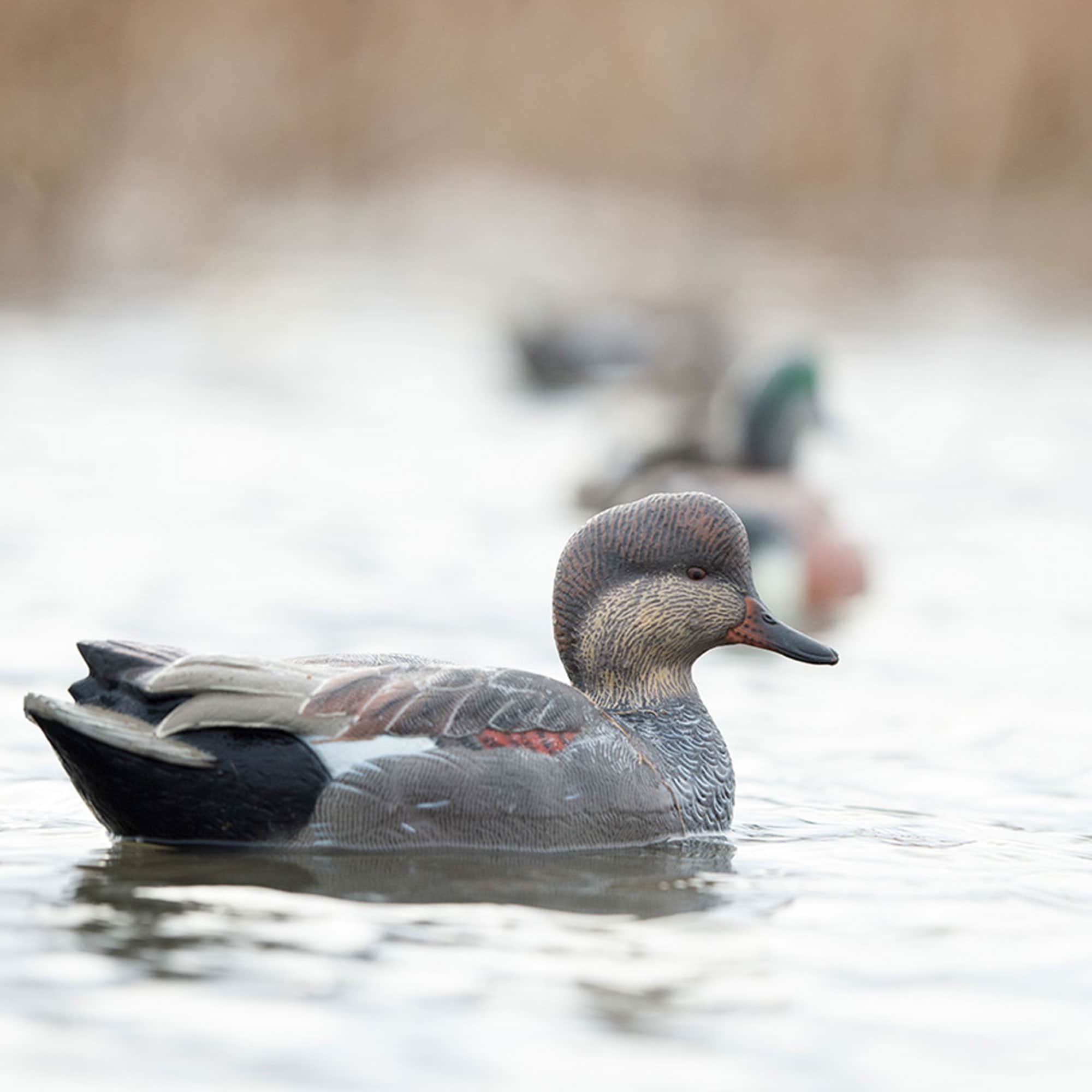  Avian X 399272 Hunting-Equipment - View #8