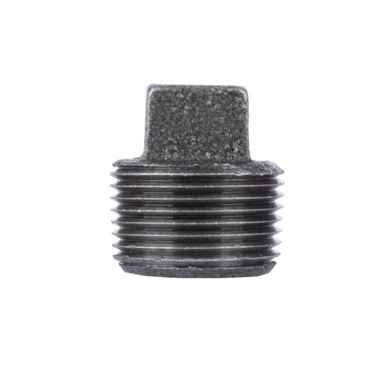 STZ  Industries 1/8 in. MIP each Black Malleable Iron Plug
