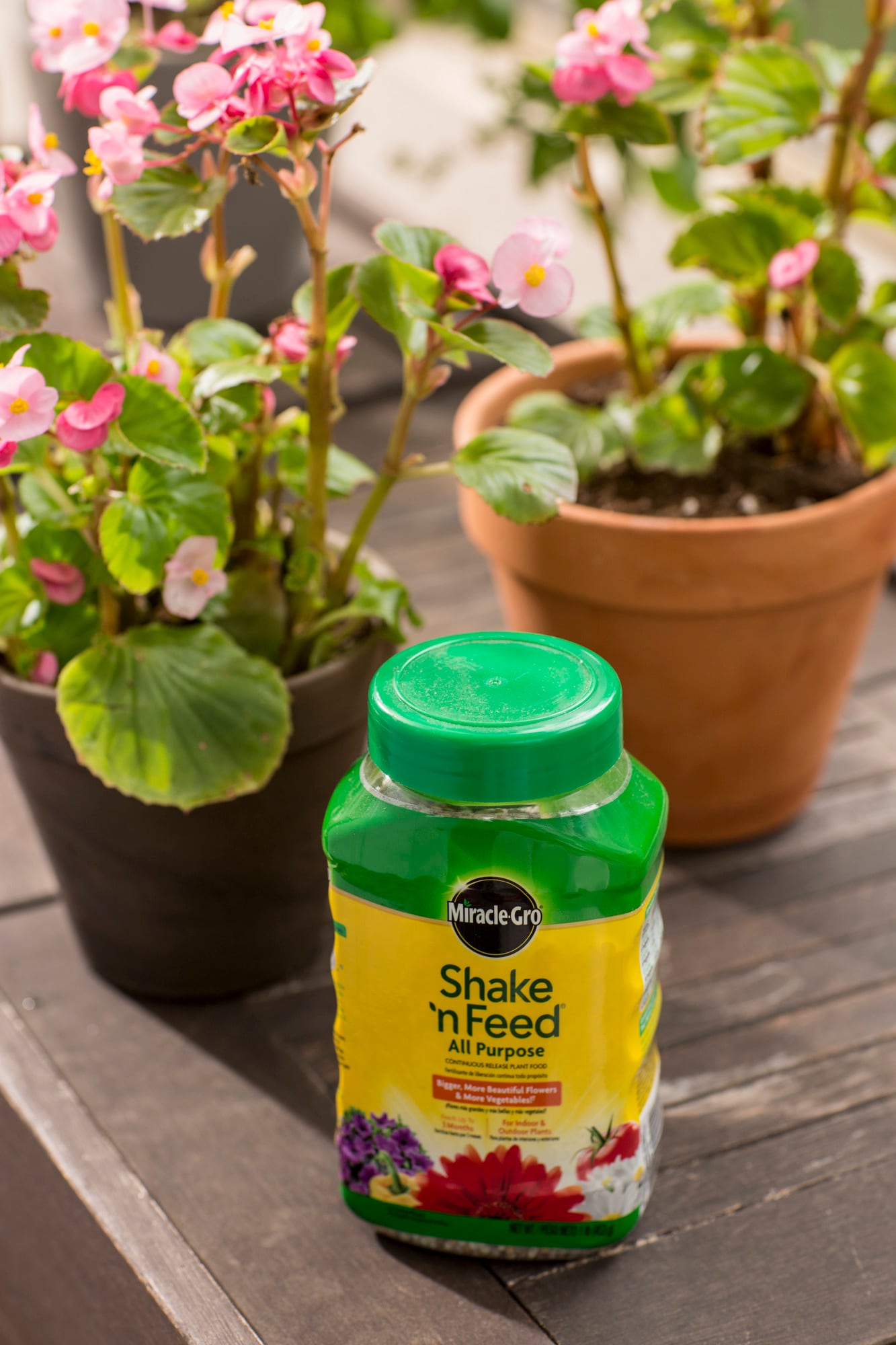 Miracle-Gro 100924 Plant-Food - View #2