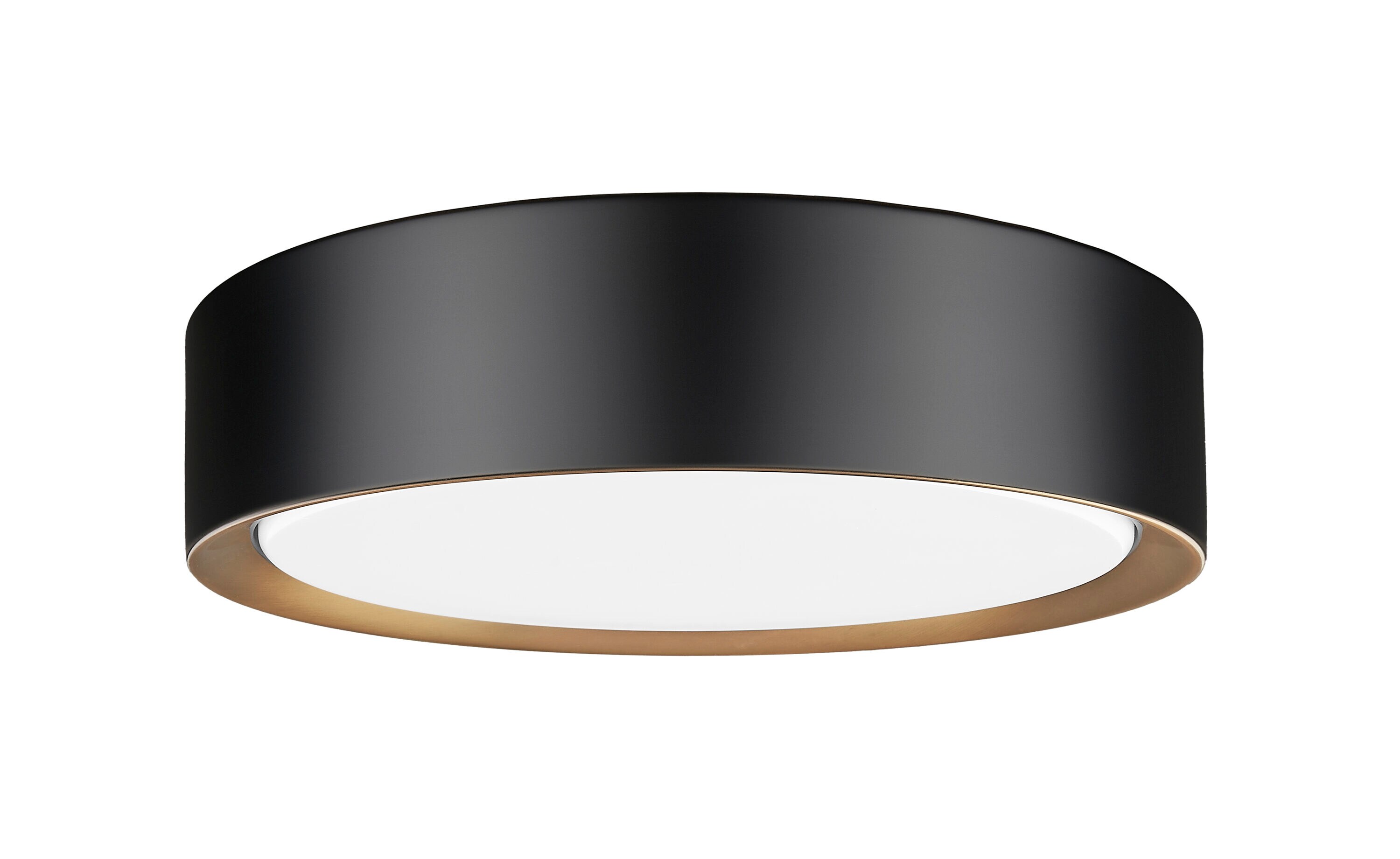 Z-Lite 1014F12-MB-MGLD-LED flushmounts - View #7