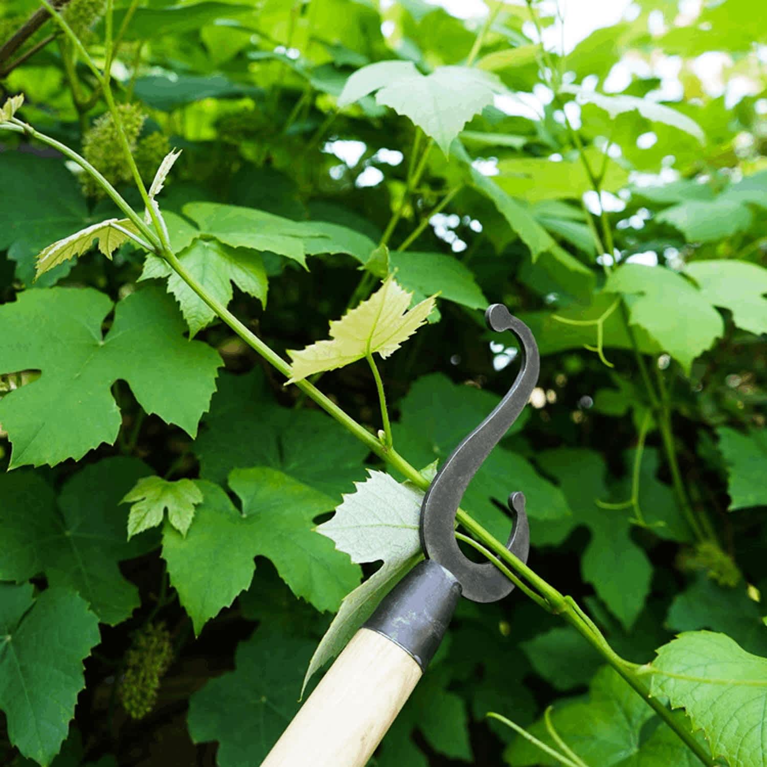 Lehman's 31-3338 Speciality-Landscaping-Tools - View #3