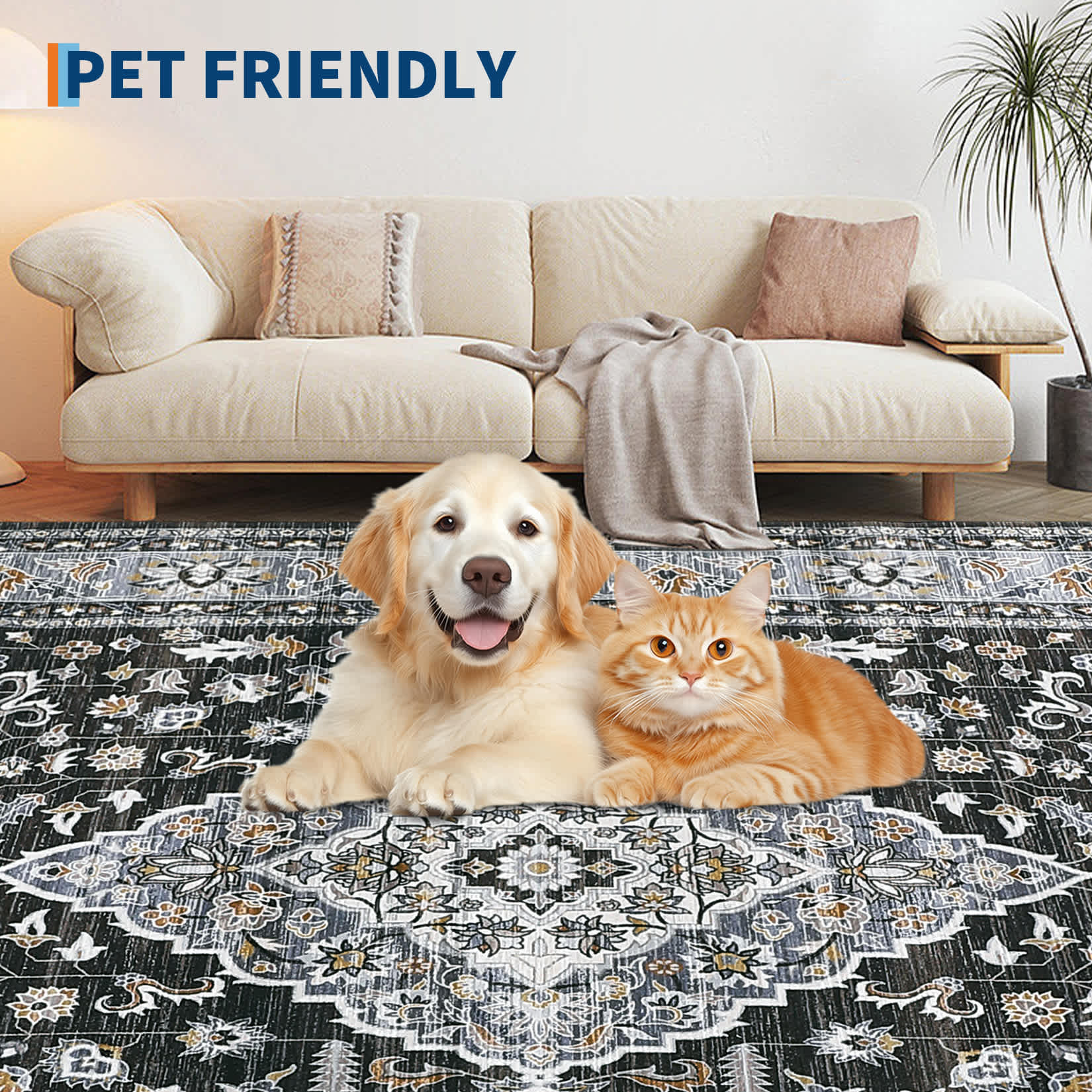 WhizMax SUNNY-PHK-33SGHB6R rugs - View #8