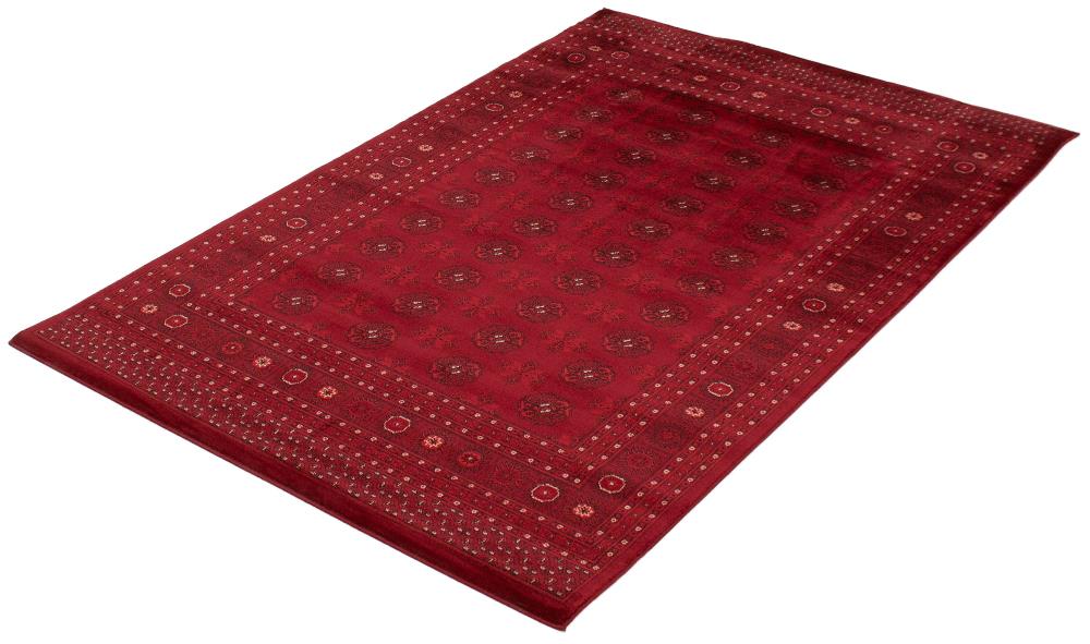 ECARPETGALLERY 303860 rugs - View #4