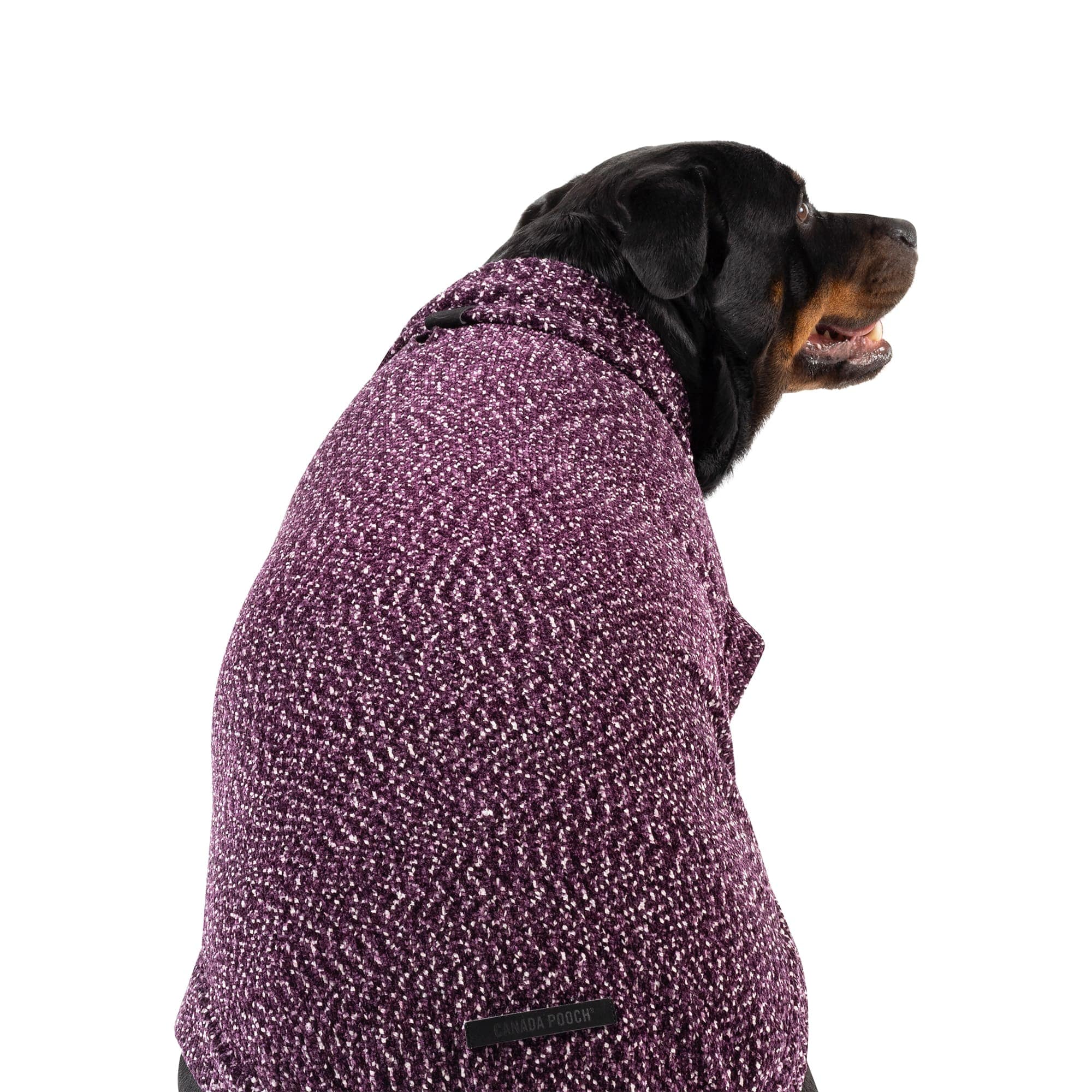 Canada Pooch 10412  - View #3