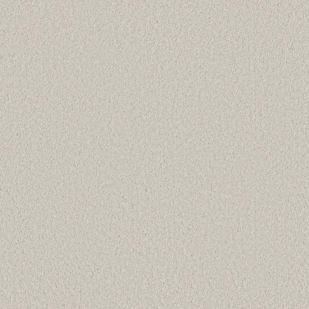 STAINMASTER PetProtect 7L972-500-SAMP (Sample) 8-in x 8-in with LeakDefense Happy Howling III Frozen Gray 82.9-oz sq yard High-performance polyester Textured Indoor Carpet