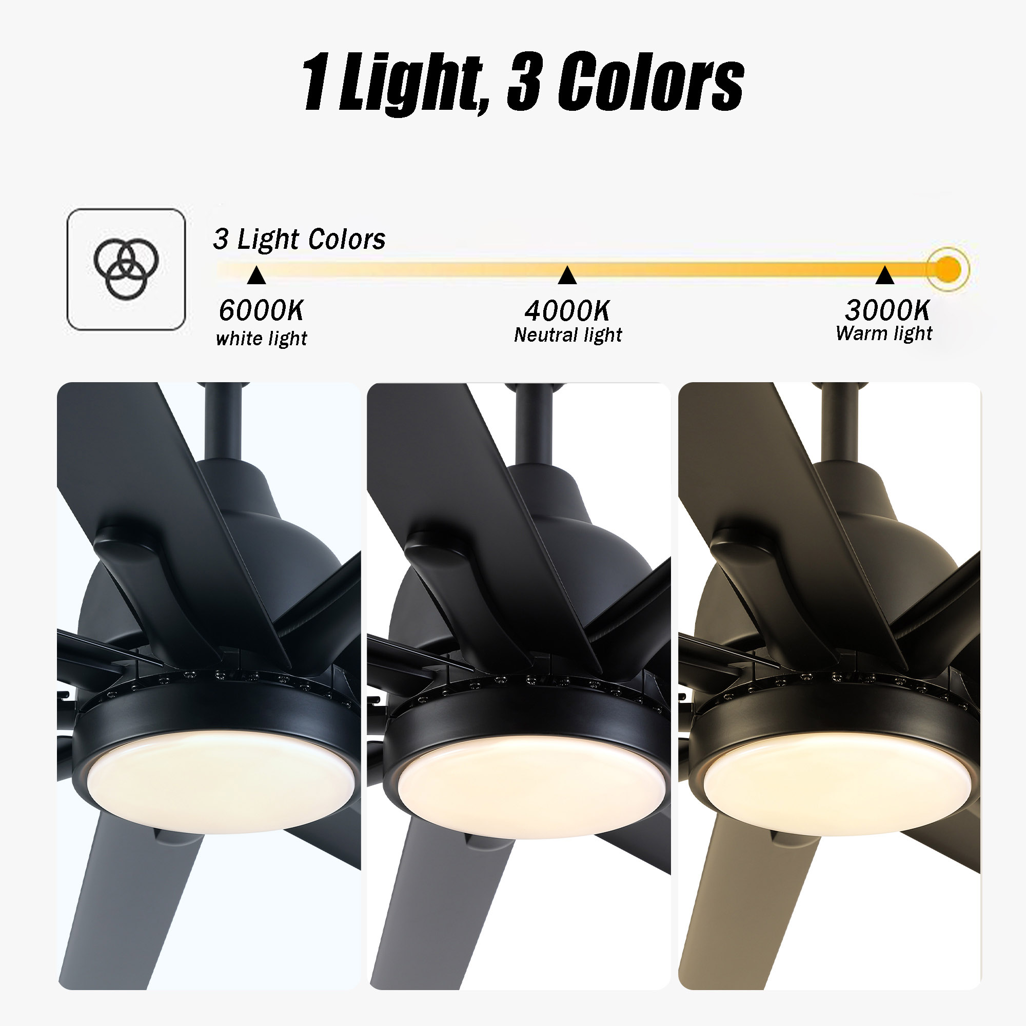 Sunrinx MG50-5-FSD Ceiling-Fans - View #9