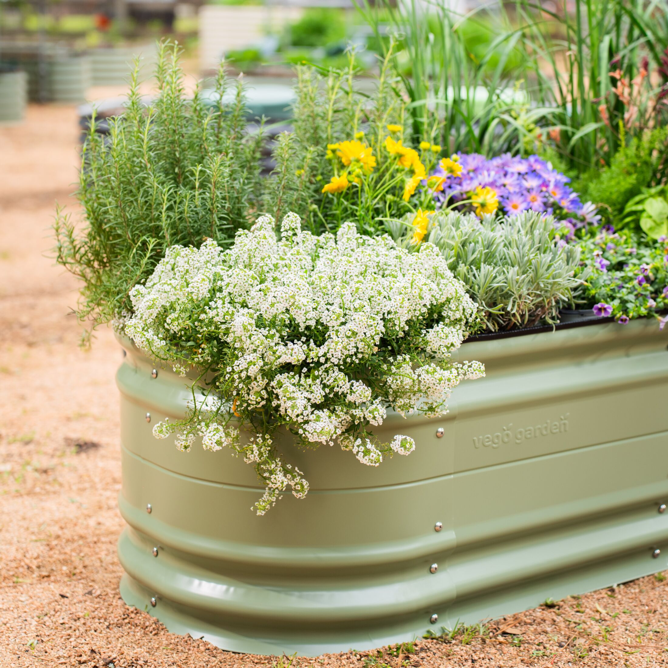 Vego Garden VB9N117GG2 Raised-Garden-Beds - View #4