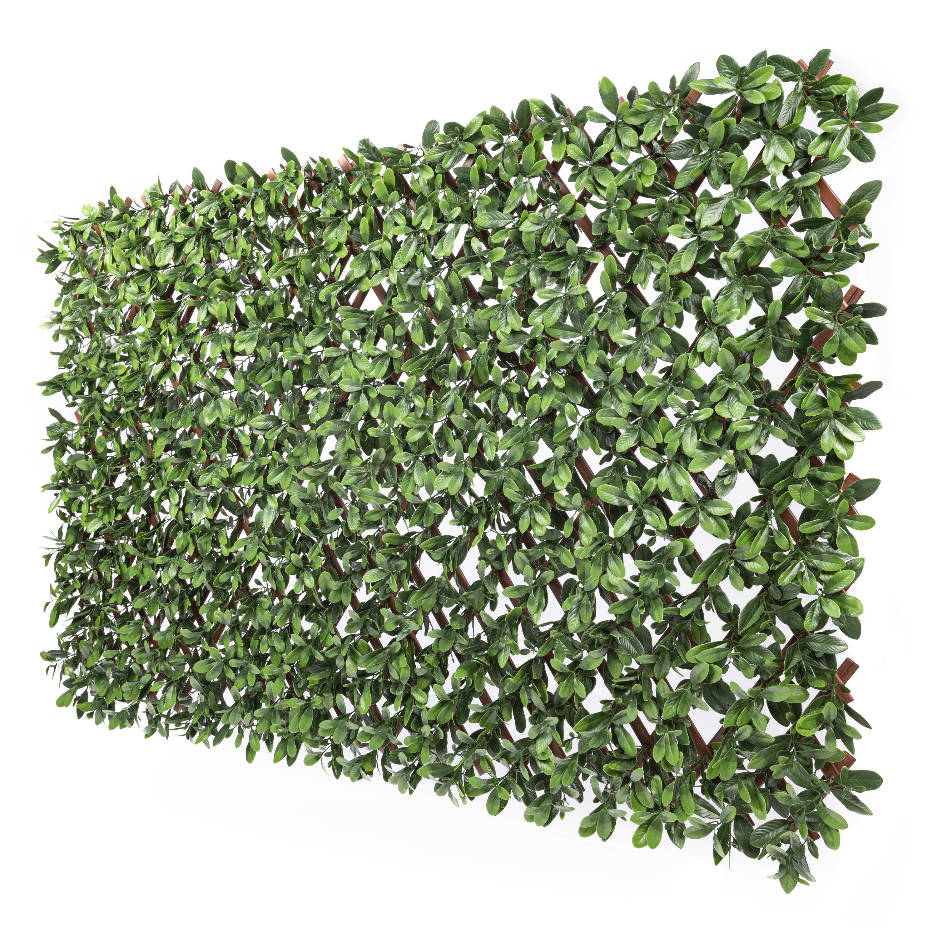 Naturae Decor - Ficus Leaves 72-in W x 36-in H Green Garden Trellis