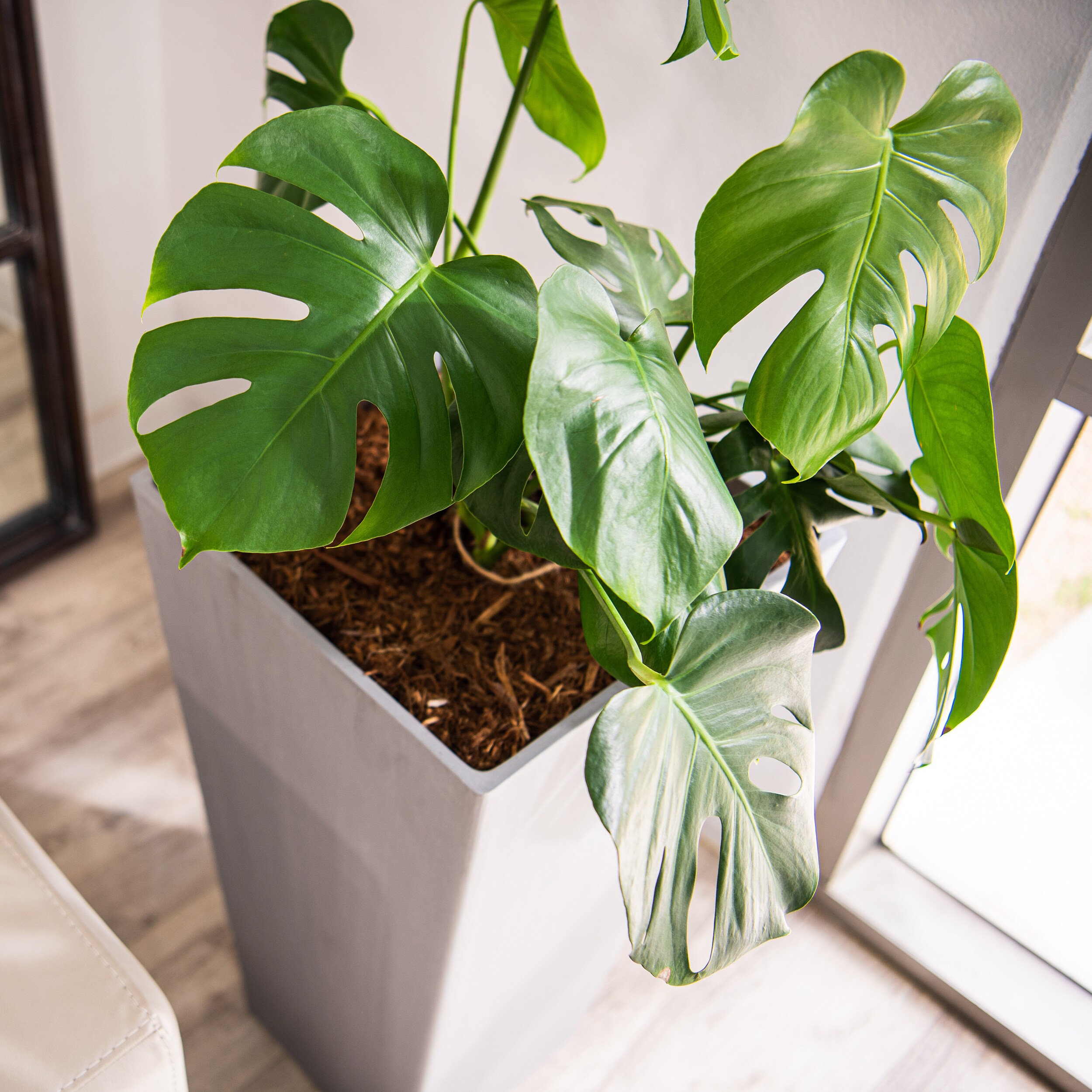 XBrand LW2617GR2 Planter-Window-Box - View #5