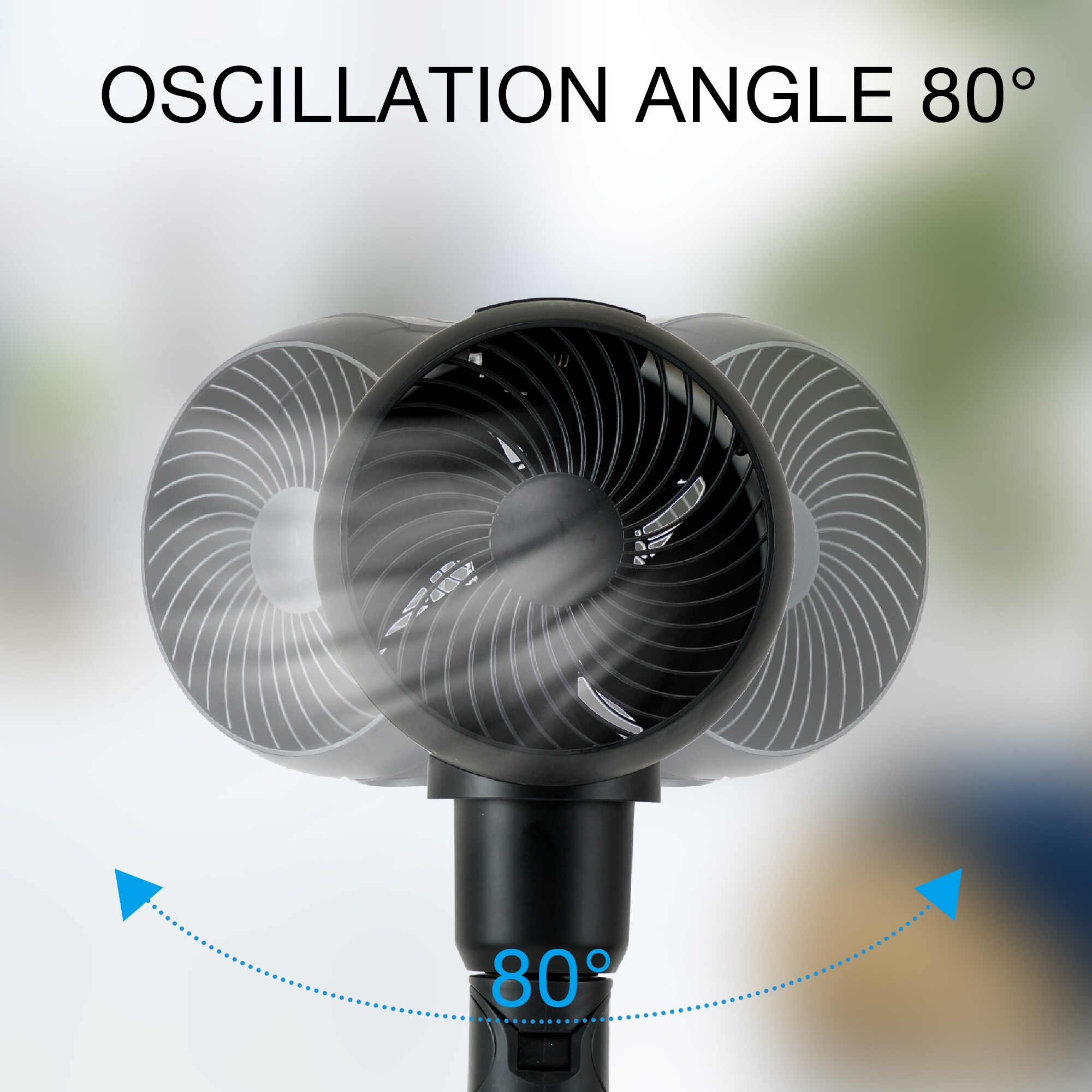 Siavonce XHTRO7B m090300 - View #8