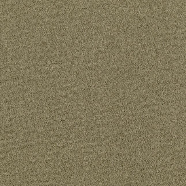 Mohawk Home & Office Sophisticated Look 30 Peace Lily Textured Carpet Sample (Interior) Mohawk Home & Office Sophisticated Look 30 Peace Lily Textured Carpet Sample (Interior)