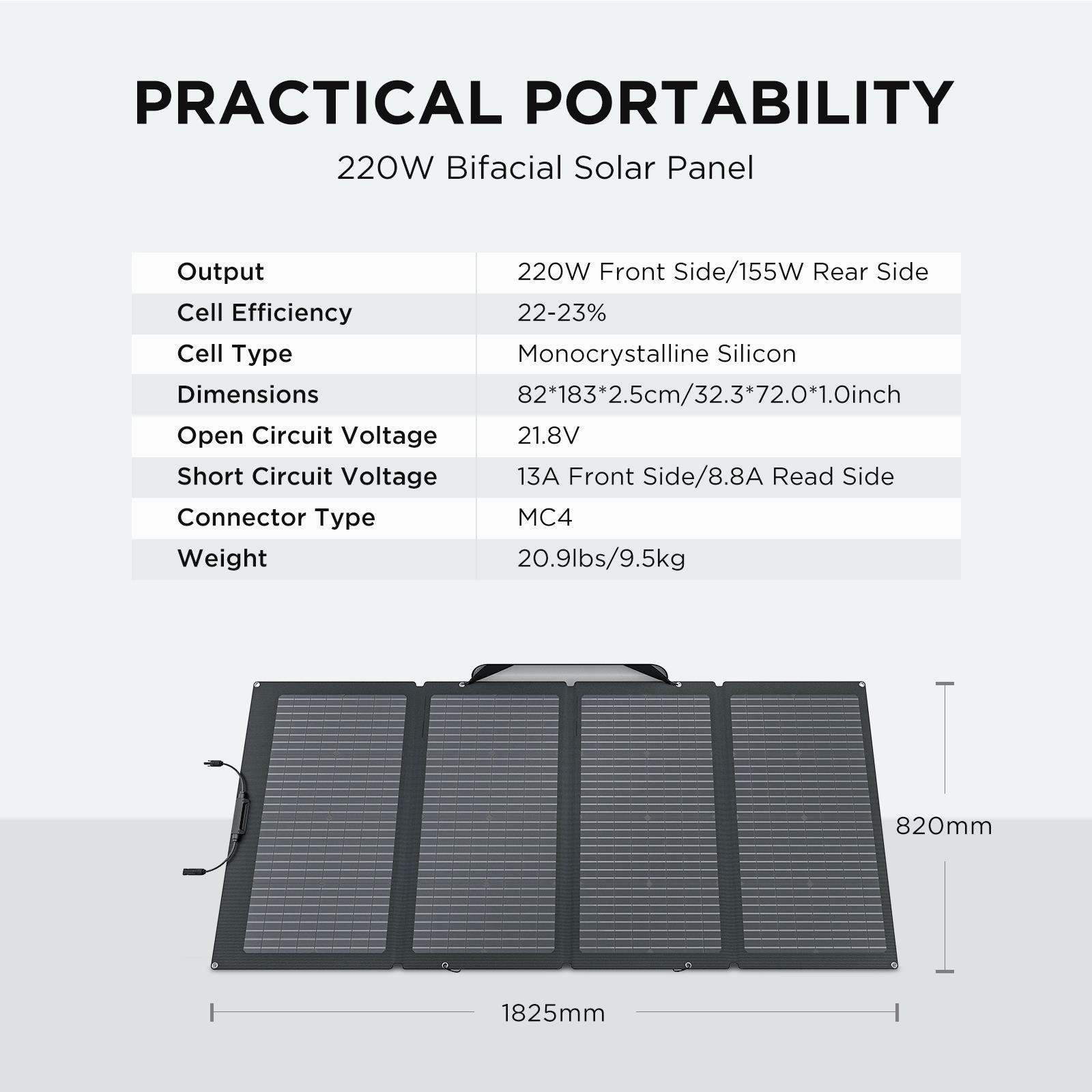 EcoFlow 1800W Output/2700W Peak Solar Generator DELTA 2 Push-Button Start  Battery Generator with 220W Solar Panel, LFP Battery DELTA2-220W - The Home