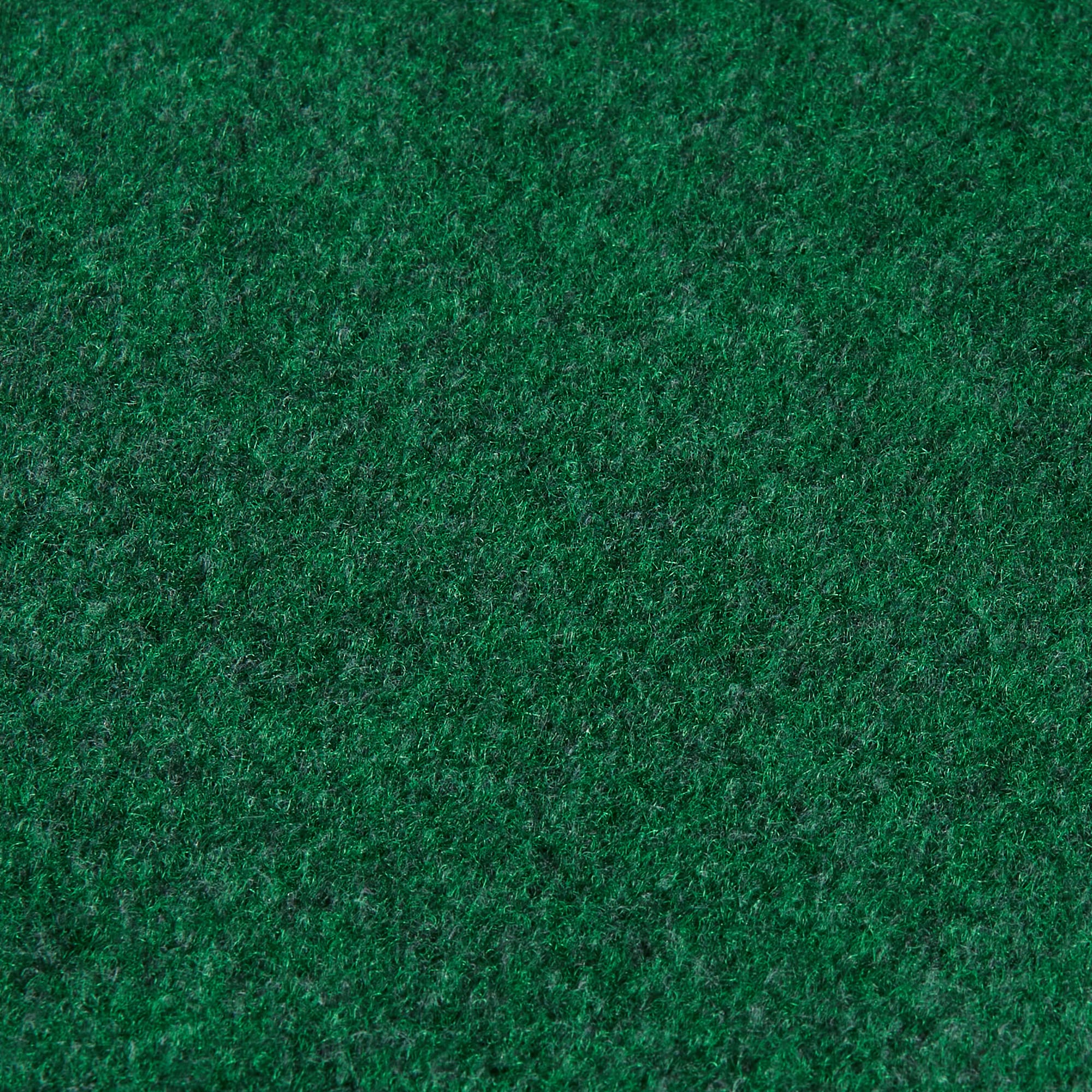 Project Source 6 X 8 (ft) Green Indoor/Outdoor Solid Area Rug