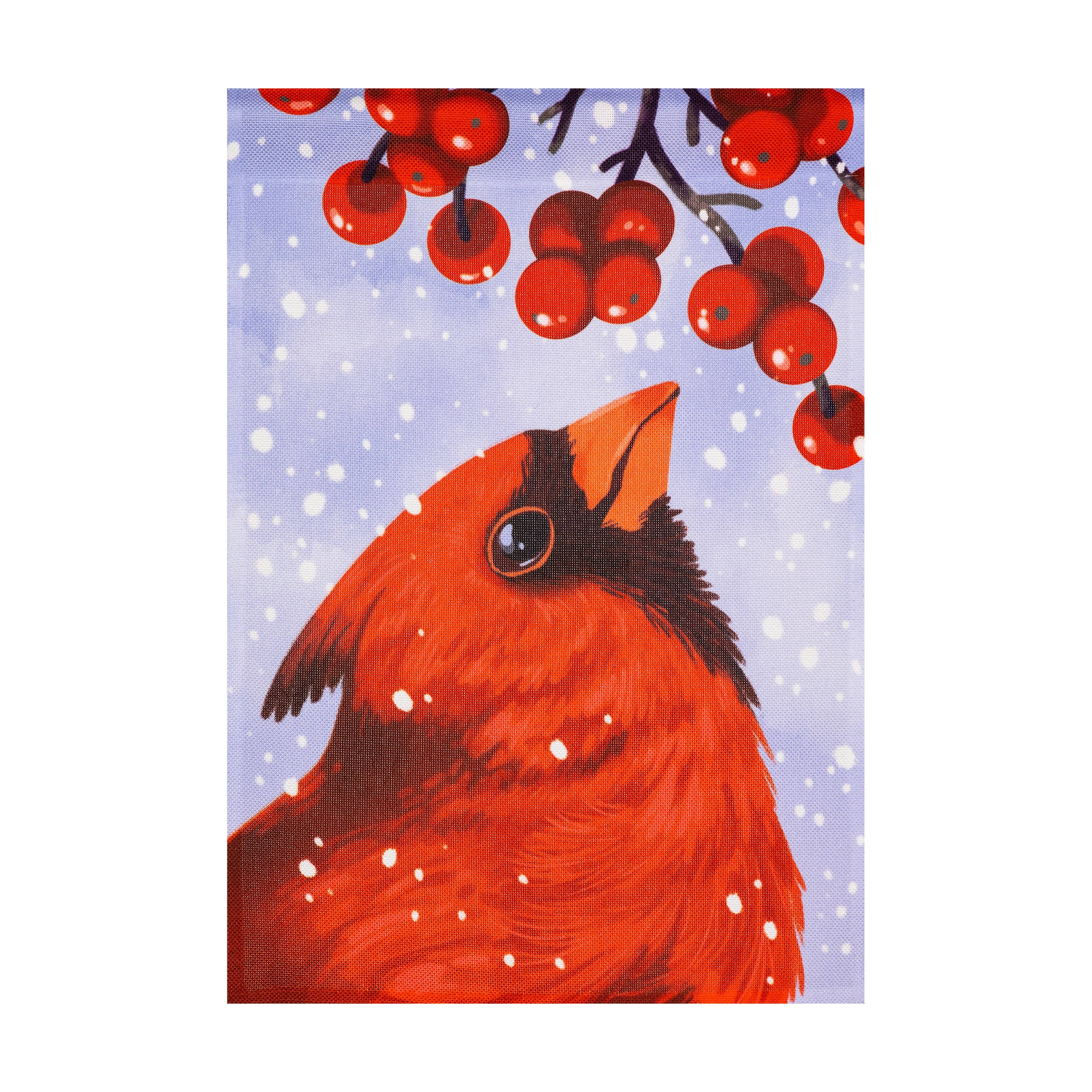 Style Selections ZLW14BS12866 1-ft W x 1.5-ft H Winter Garden flag