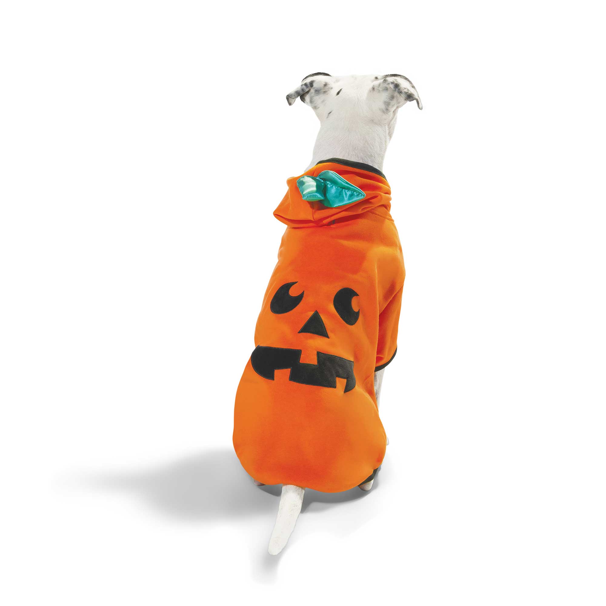 Bootique 3568013 Dog-Apparel - View #2
