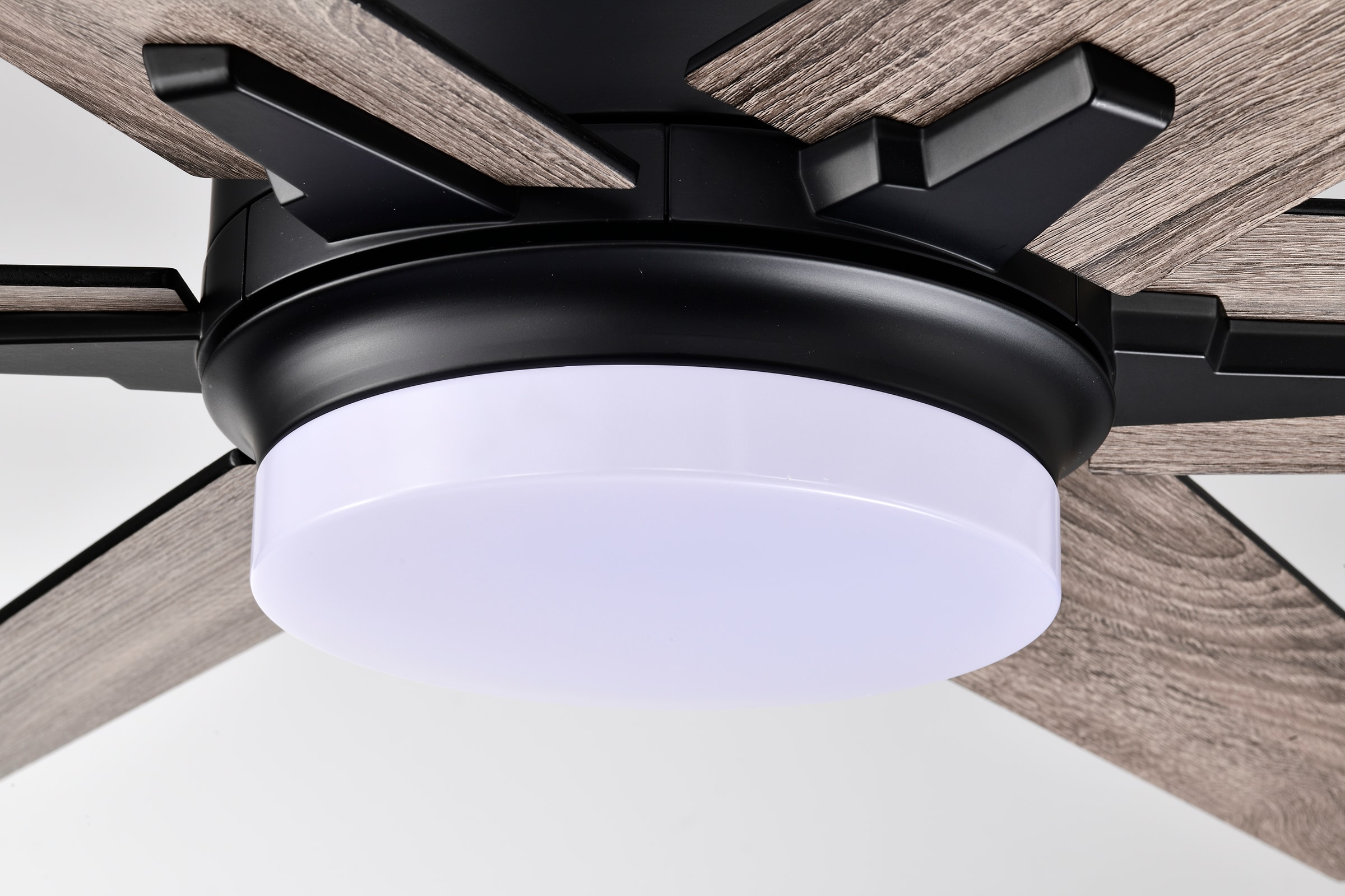 Edvivi FFG7625BK Ceiling-Fans - View #8