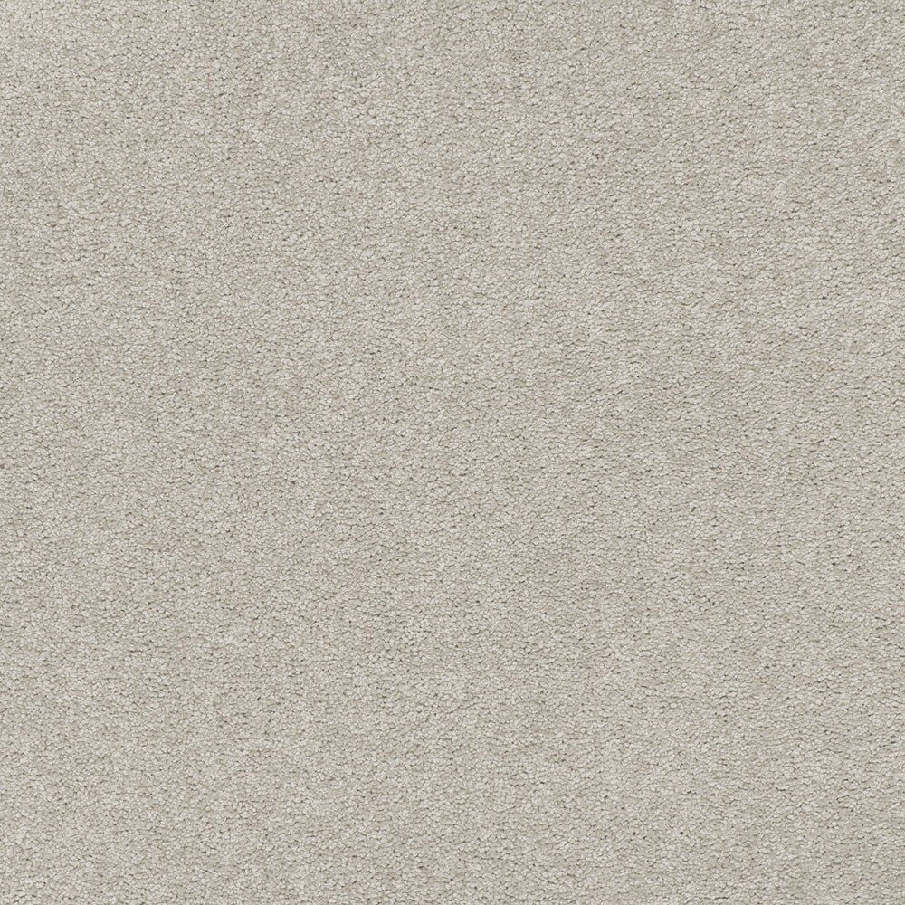 STAINMASTER PetProtect STP42-12-L003 Noble Grandeur Enchanting Brown 70-oz sq yard Triexta Textured Indoor Carpet