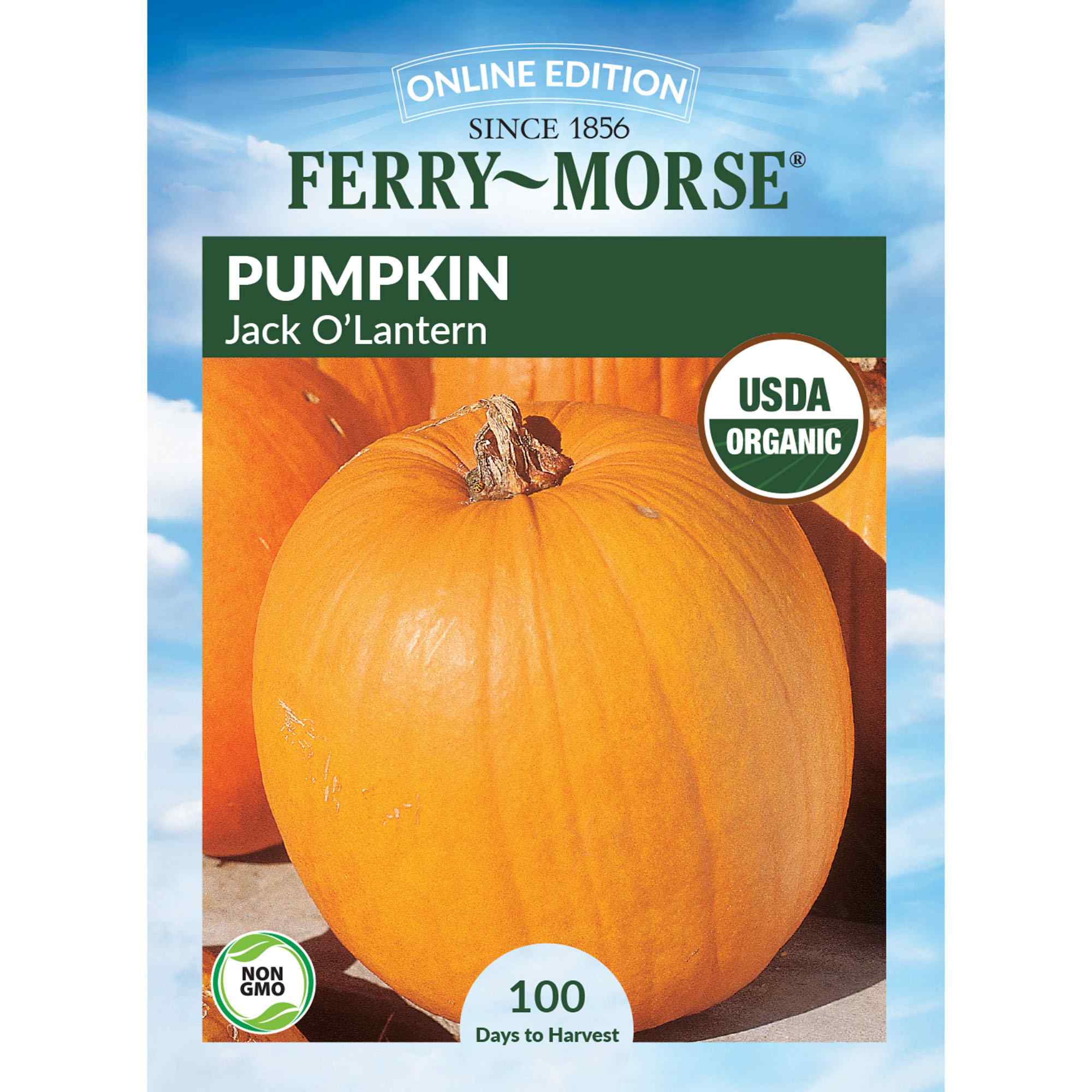 Ferry-Morse LC25.9535 Organic Pumpkin Seeds 4.4 Gram(s)