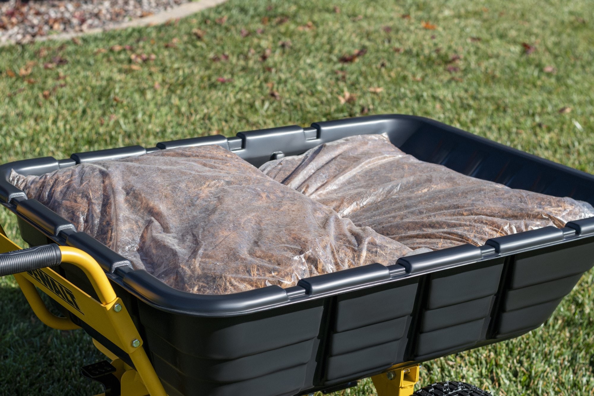 DEWALT 10 cu ft Poly Wheelbarrow in the Wheelbarrows department at