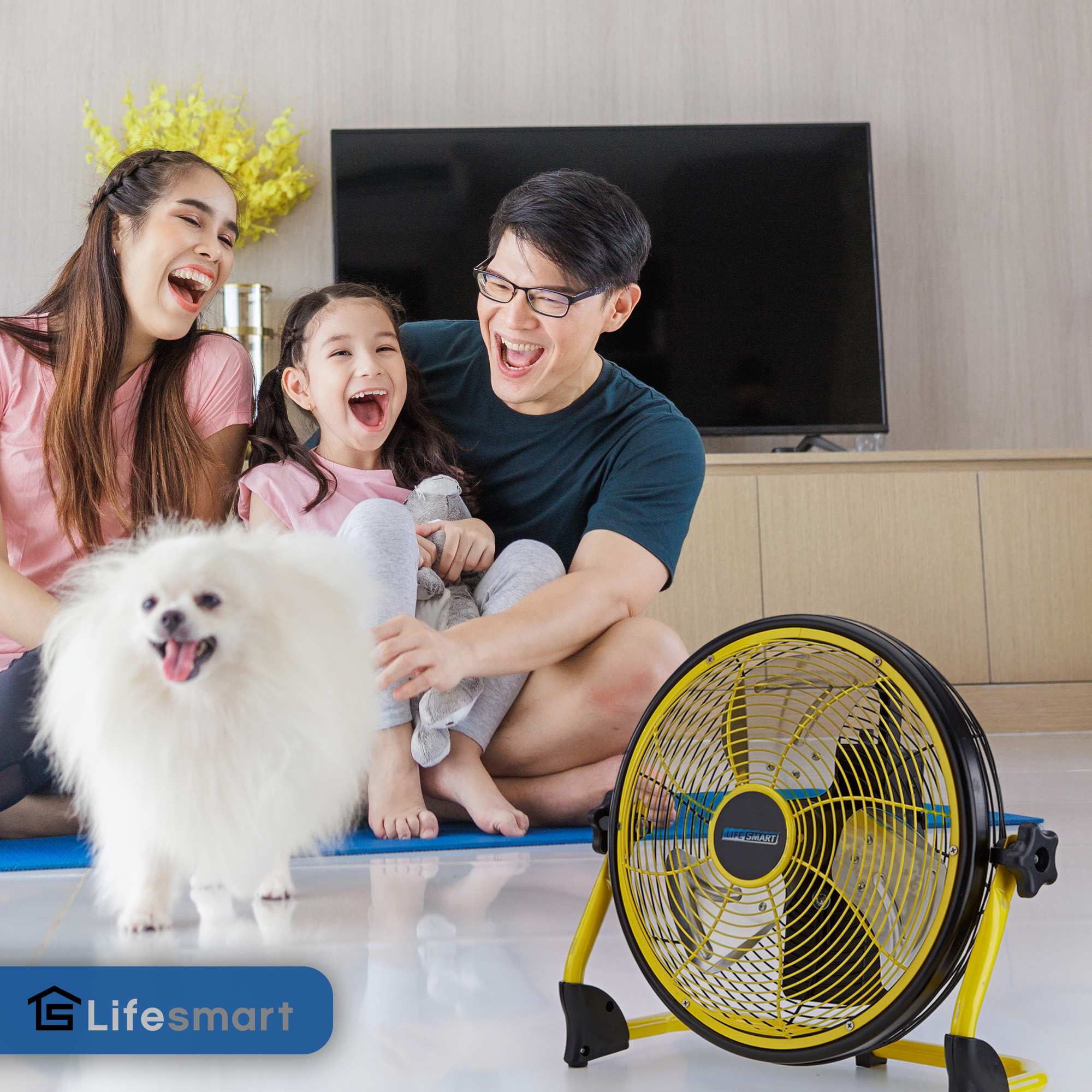 Lifesmart 293517 stools - View #5