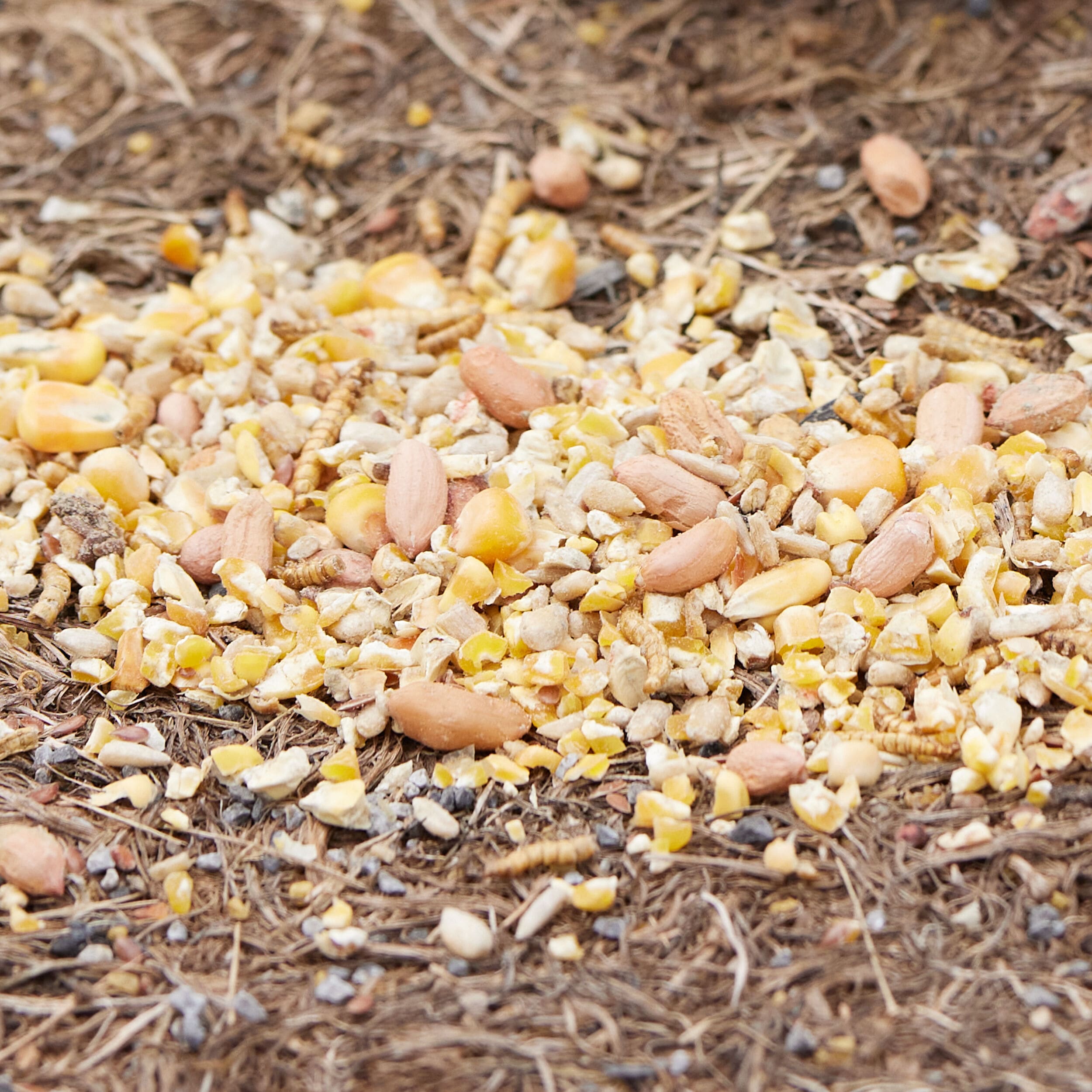 Pecking Order 009327 Poultry-Feed - View #3