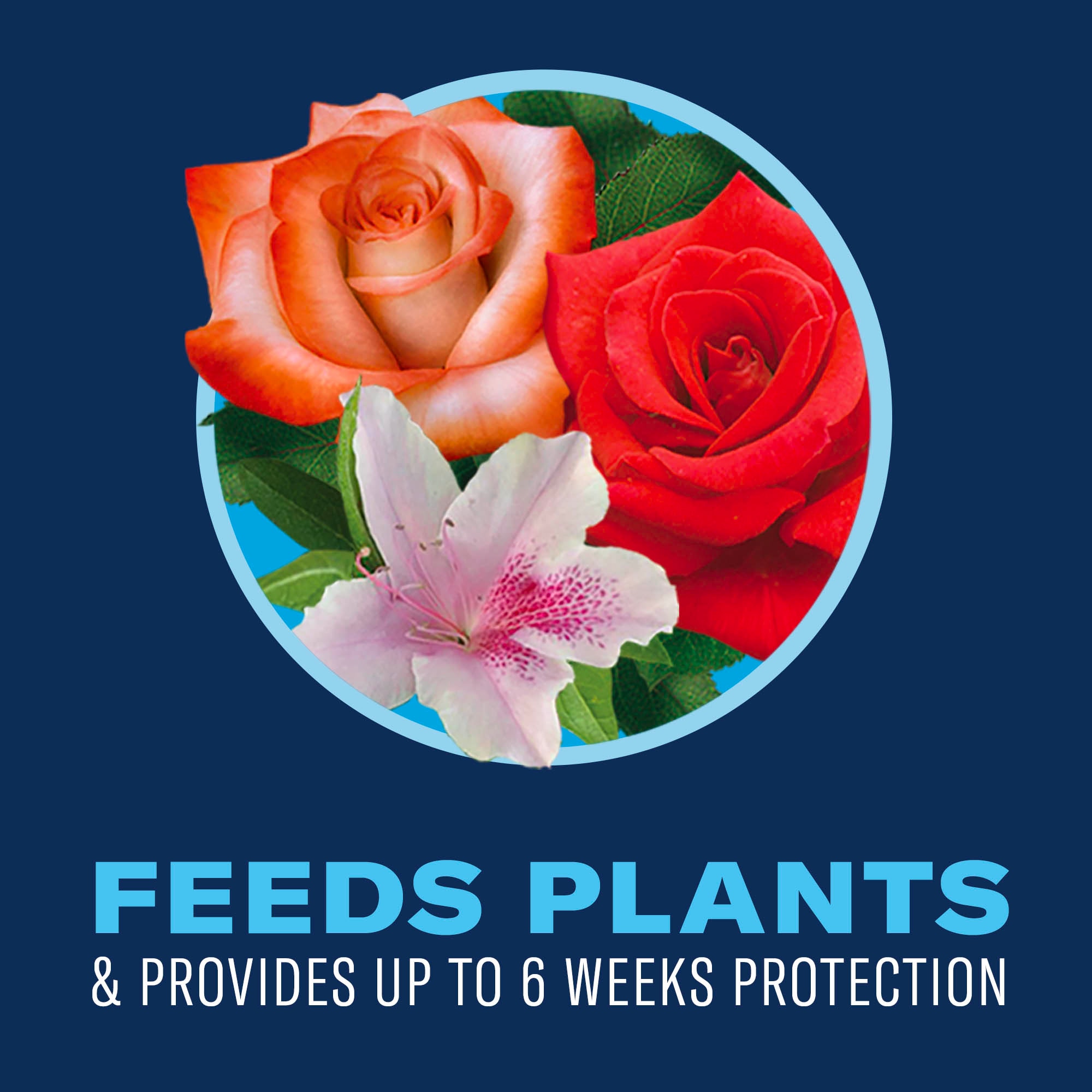 BioAdvanced 820161 Plant-Food - View #4