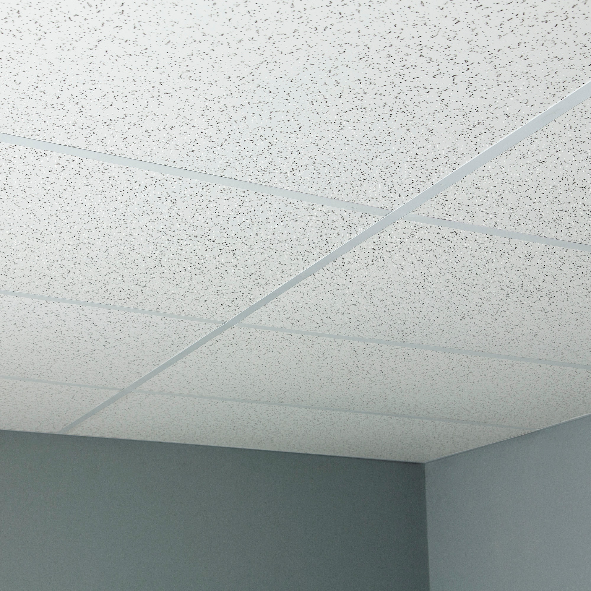 Genesis 746-00 Ceiling-Tile - View #3