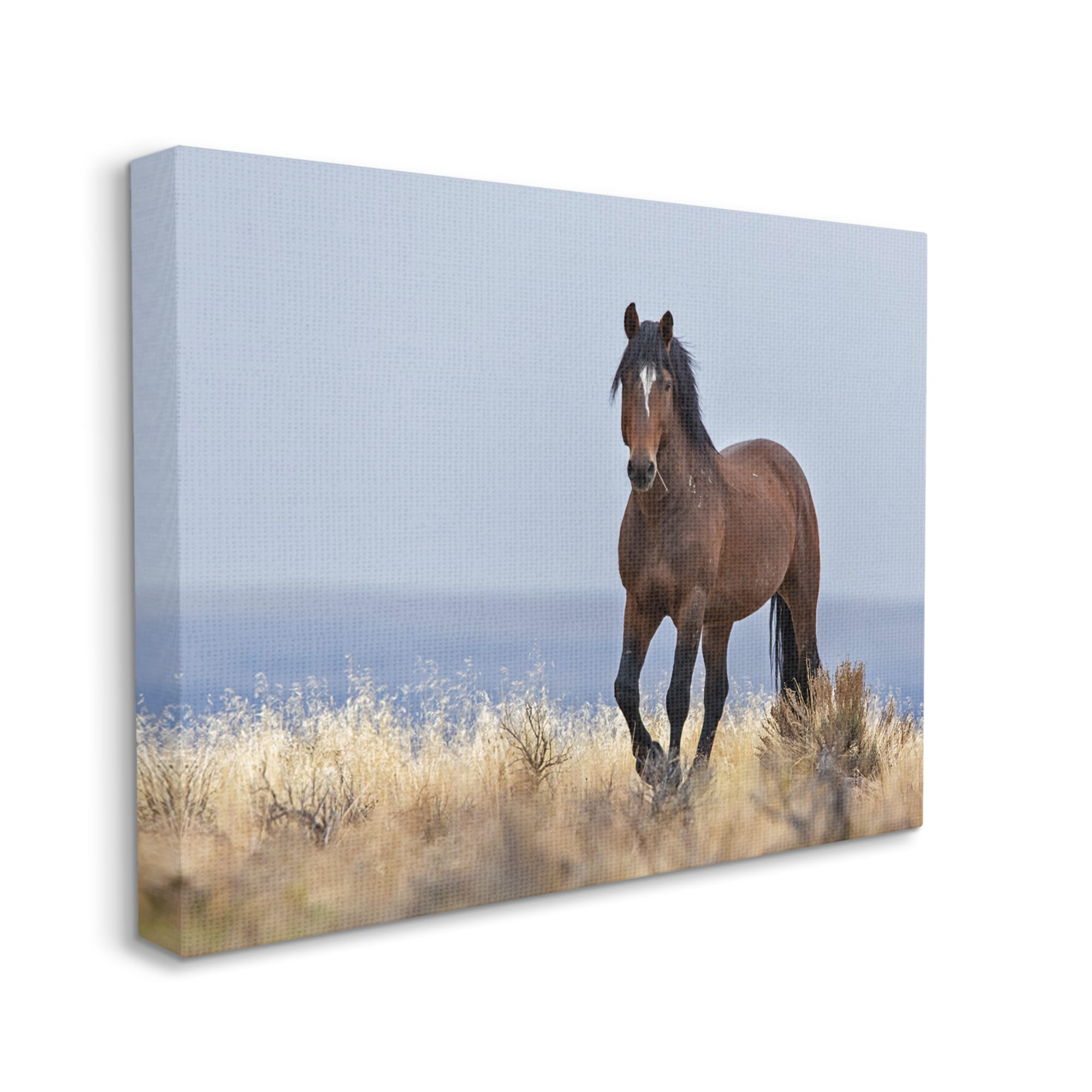 Stupell Industries AE-928-CN-36X48 Equestrian Horse in Wild Countryside Soft Blue Sky Larry McFerrin Gallery Wrapped Canvas Wood 48-in H x 36-in W Animals Canvas Print