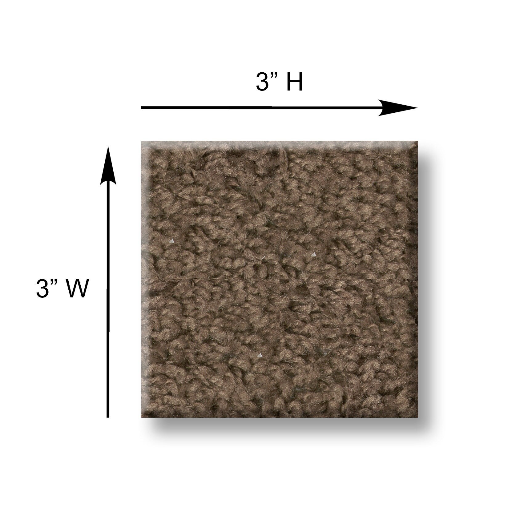 Style Selections 7L919 - 703 - SAMP Carpet-Samples - View #4
