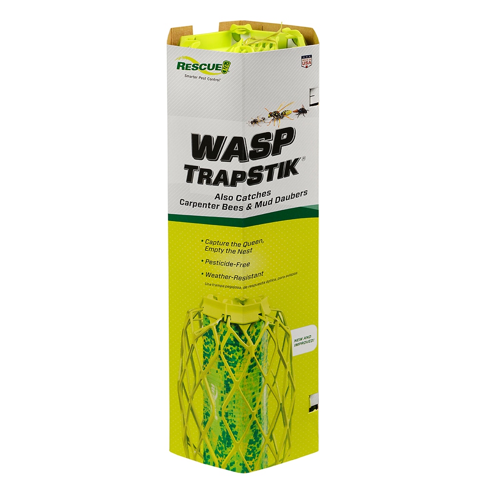 Raid Safer For Pets & Kids! Wasp Jar Insect Trap - Attracts & Kills Yellow  Jackets, Wasps, & Hornets - Reusable & Easy to Use - Outdoor in the Insect  Traps department