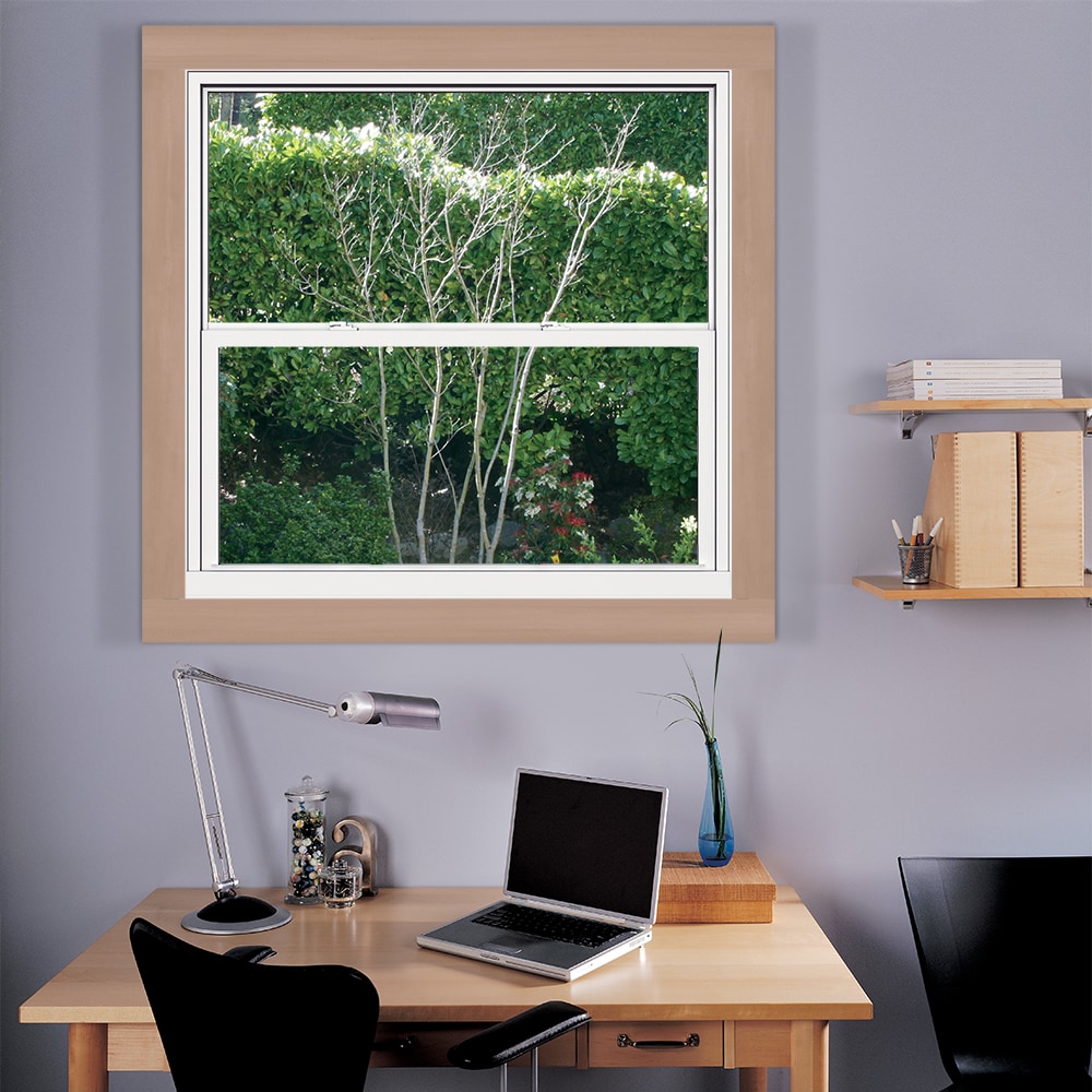 JELD-WEN JW233400013 Single-Hung-Windows - View #4