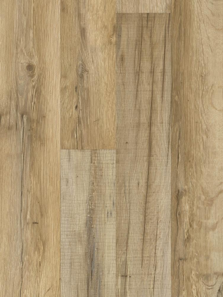 Style Selections Tavern Oak 8-mm Thick Wood Plank Laminate Flooring Sample  in the Laminate Samples department at Lowes.com