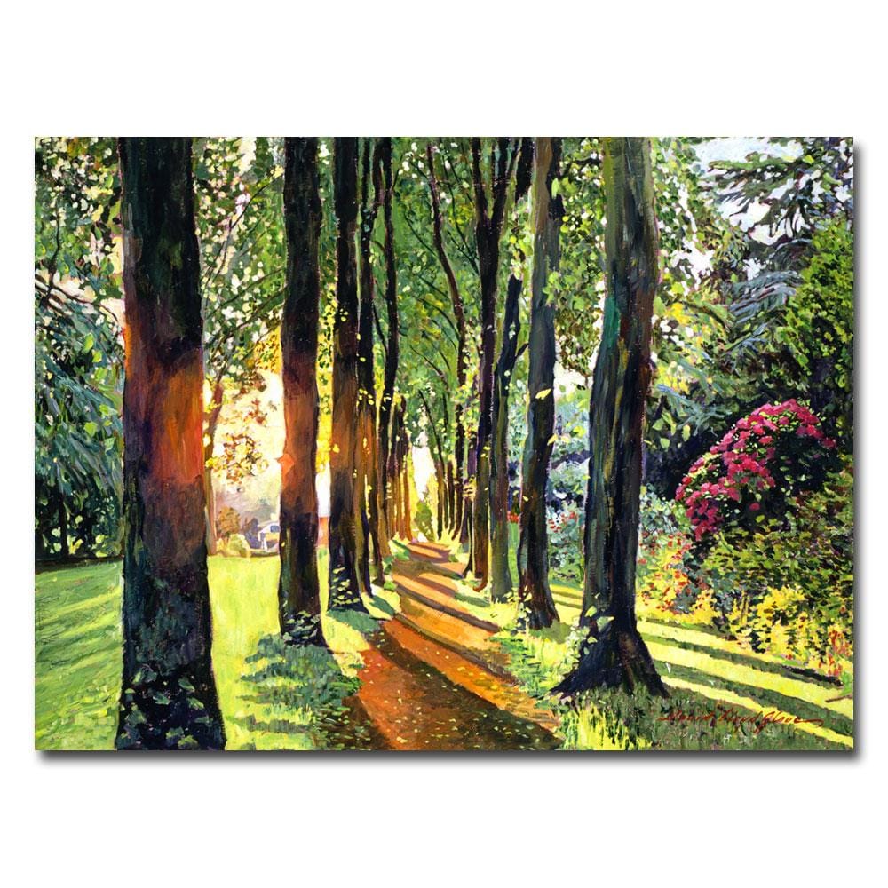 Trademark Fine Art DLG0254-C3547GG Framed 35-Inches H x 47-Inches W Landscape Canvas Print