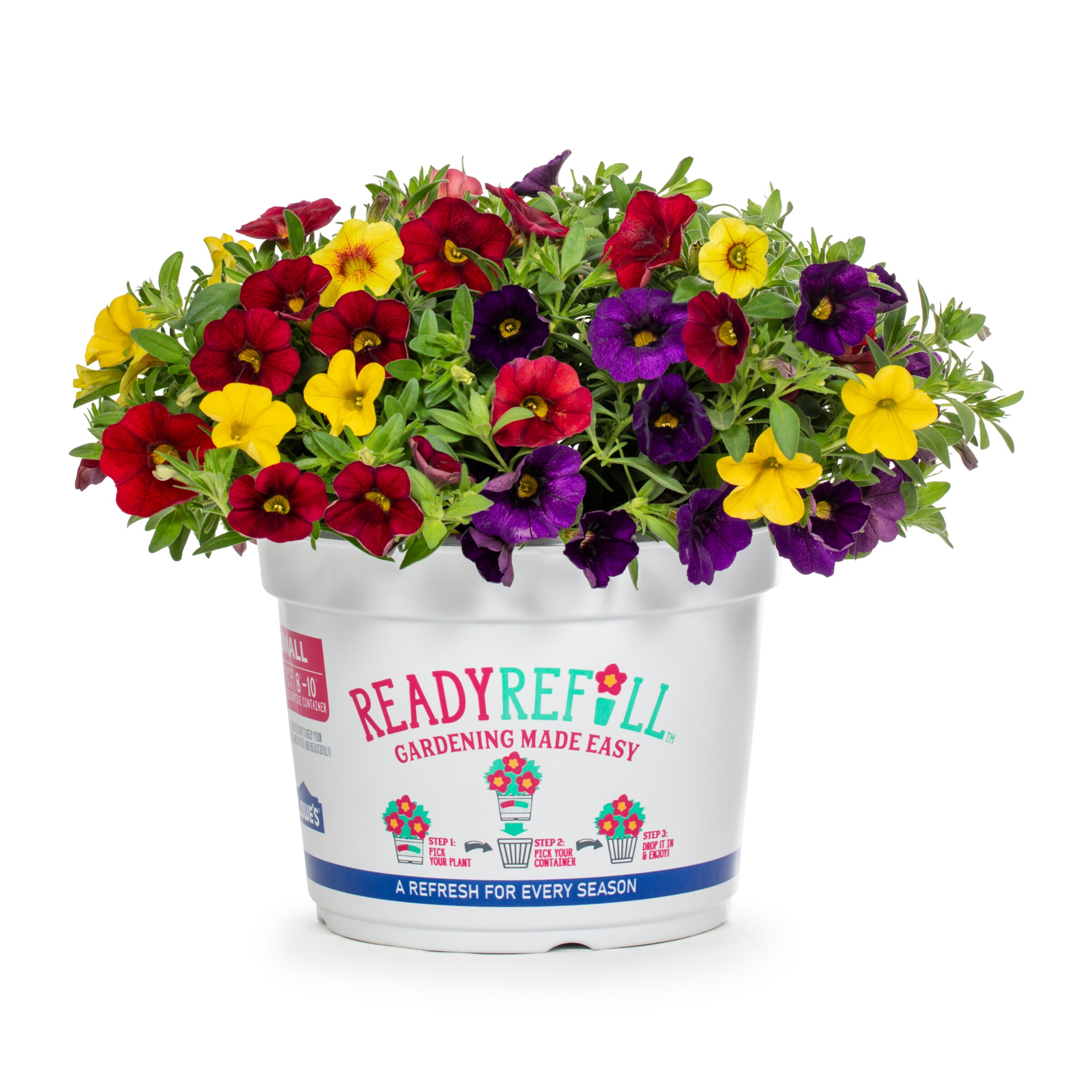 Ready Refill 4949 annuals - View #5