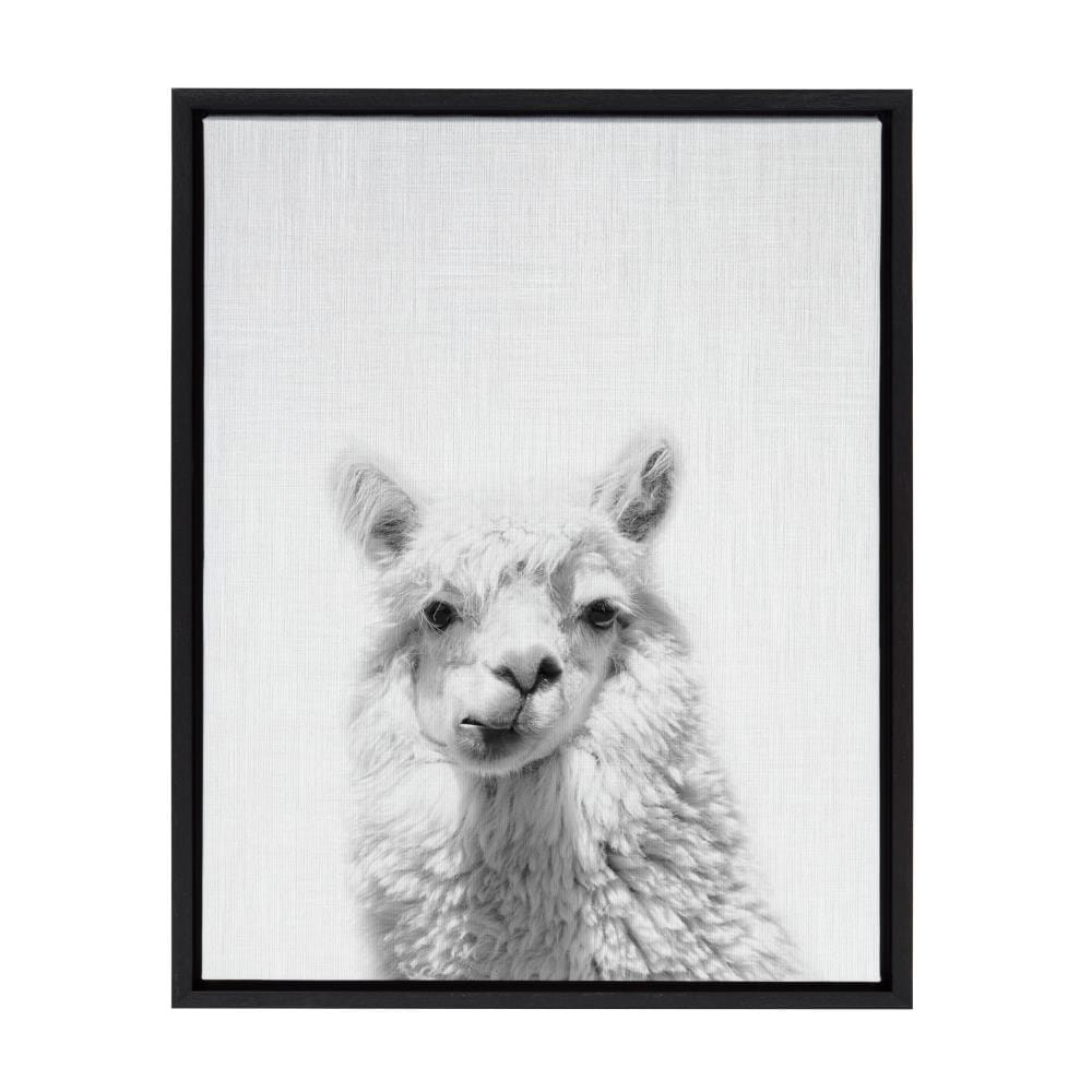 Kate and Laurel 216336 Alpaca Simon Te Tai Black Plastic Framed 24-Inches H x 18-Inches W Animals Canvas Print