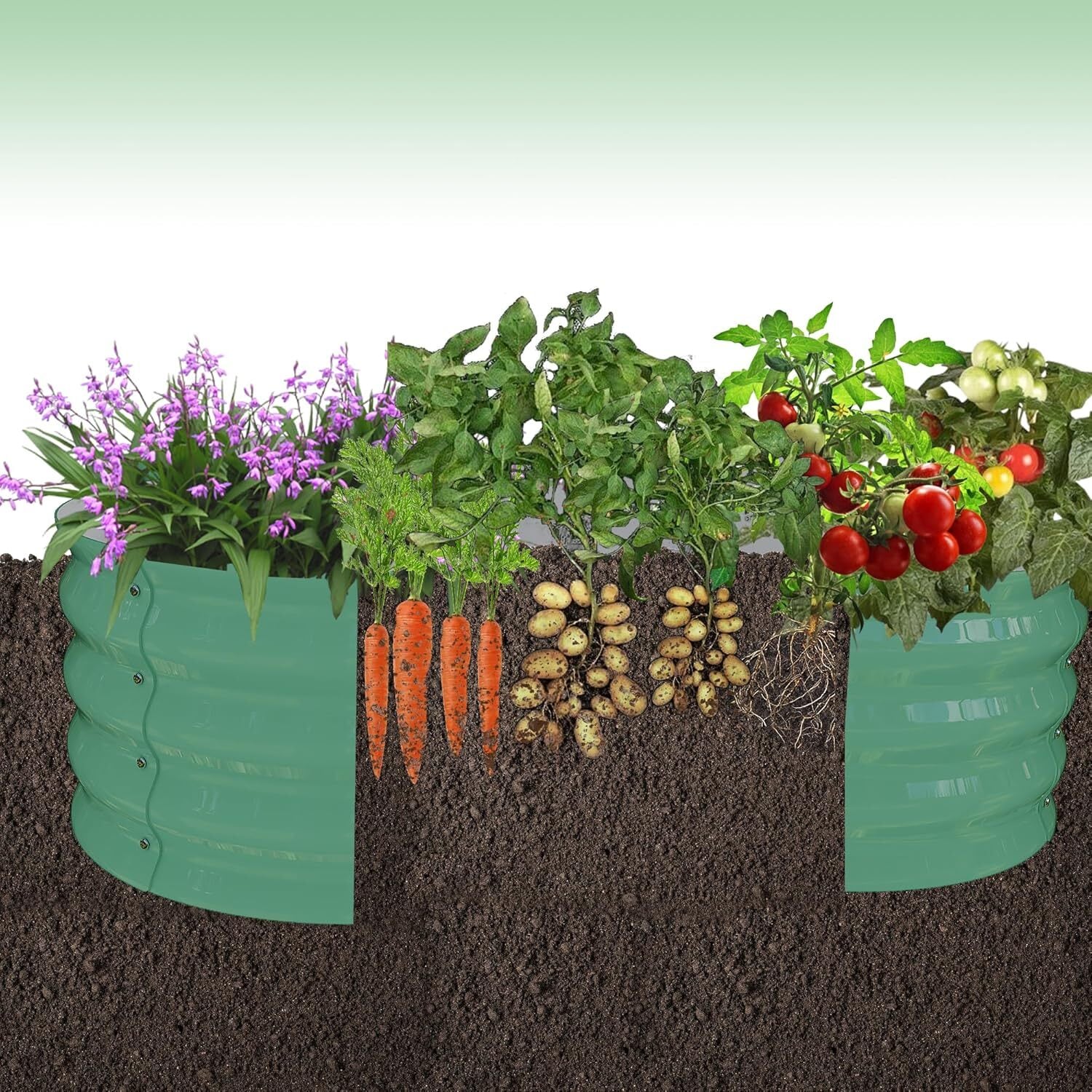 Der Rose LMXPHO-349F-0910CBMN Raised-Garden-Beds - View #5