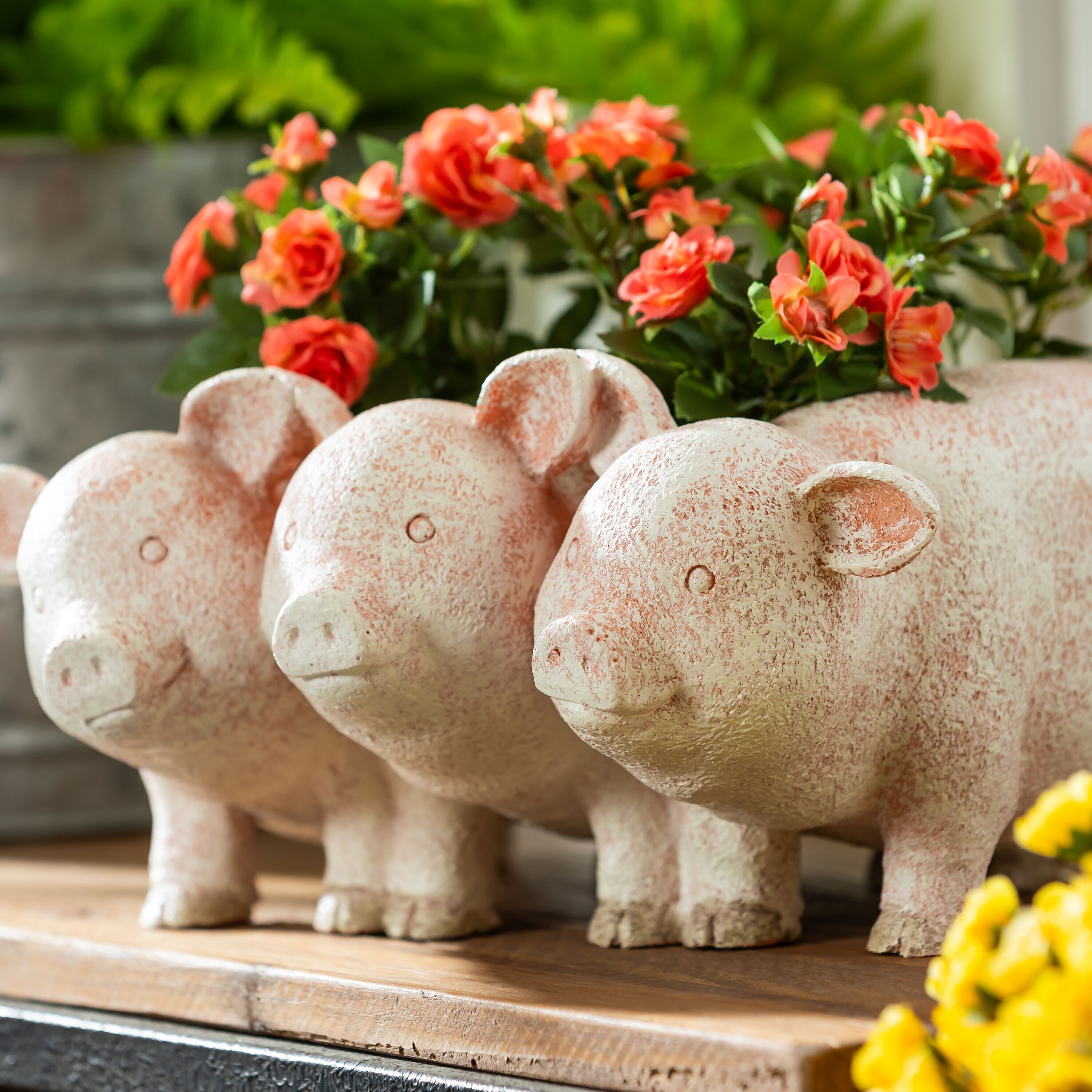 Evergreen Q55458PIG Planter-Window-Box - View #5