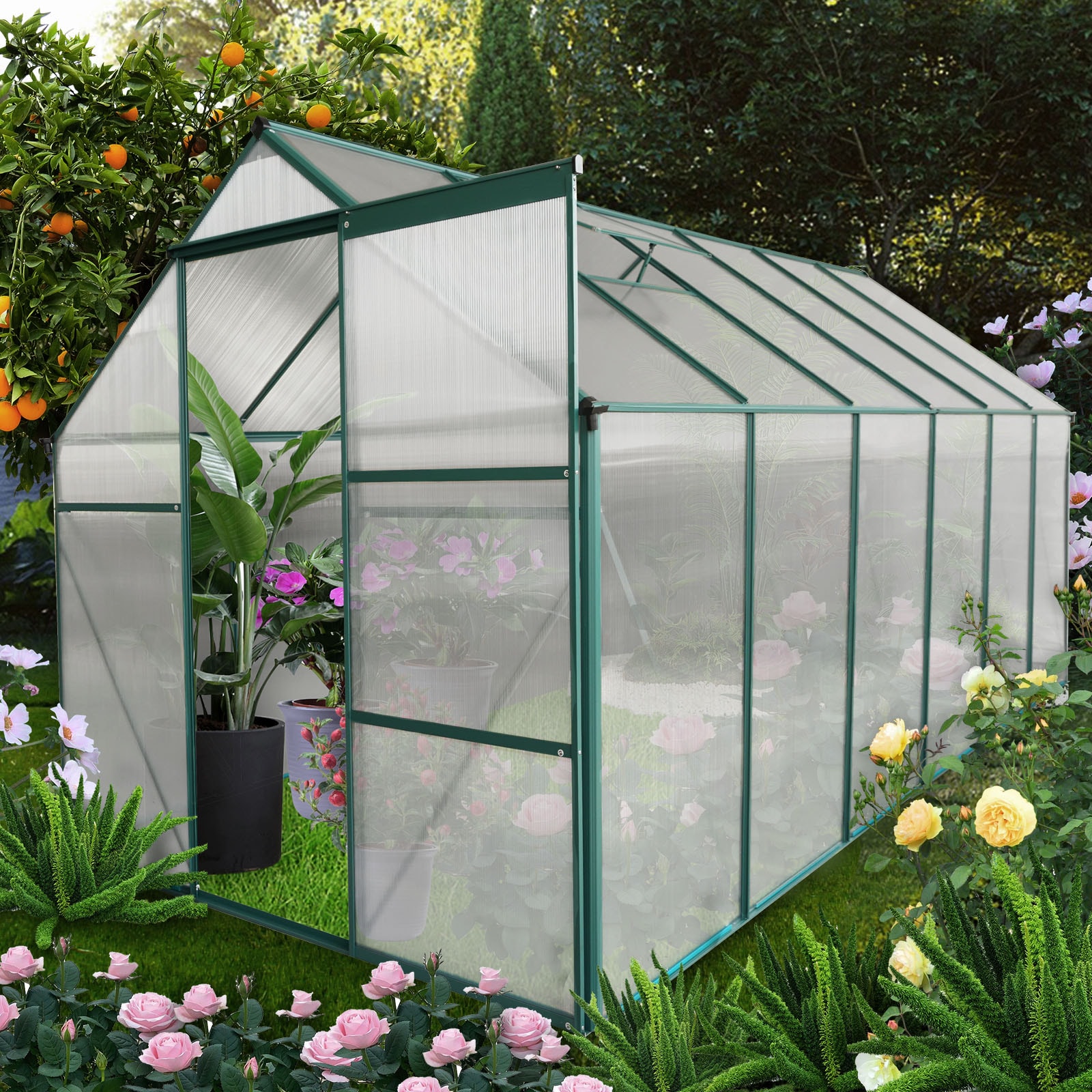 WELLFOR TACS54005 greenhouses - View #2