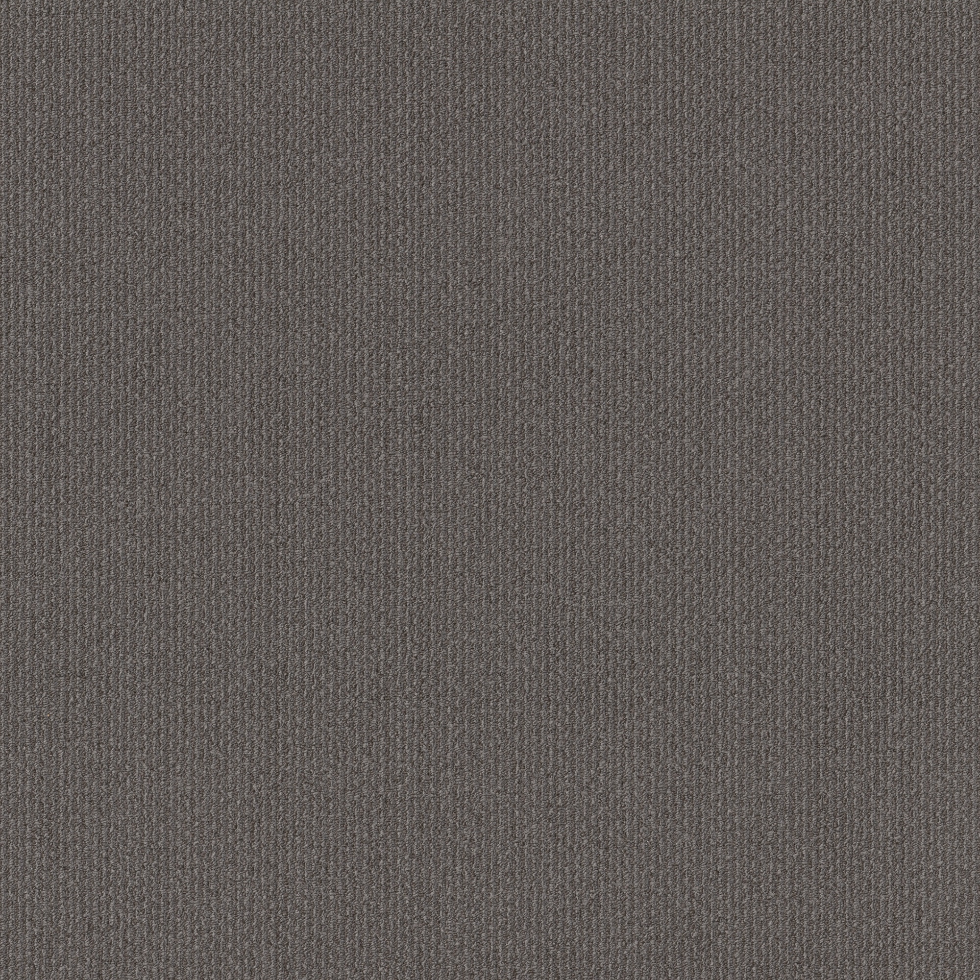 Style Selections 7L924-50520-SAMP Carpet-Samples - View #3