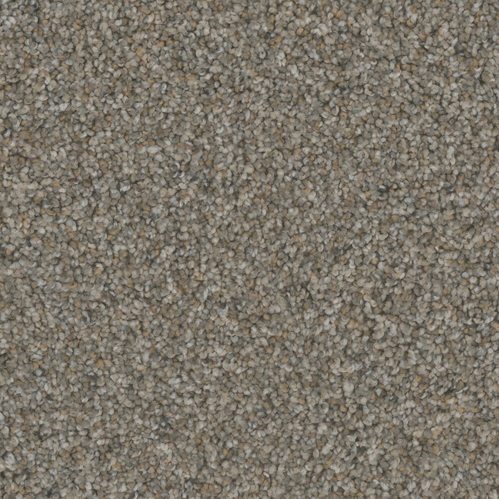 STAINMASTER PetProtect S9754-937-1200-MO Santa Rosa Windsor Brown 54-oz sq yard Nylon Textured Indoor Carpet