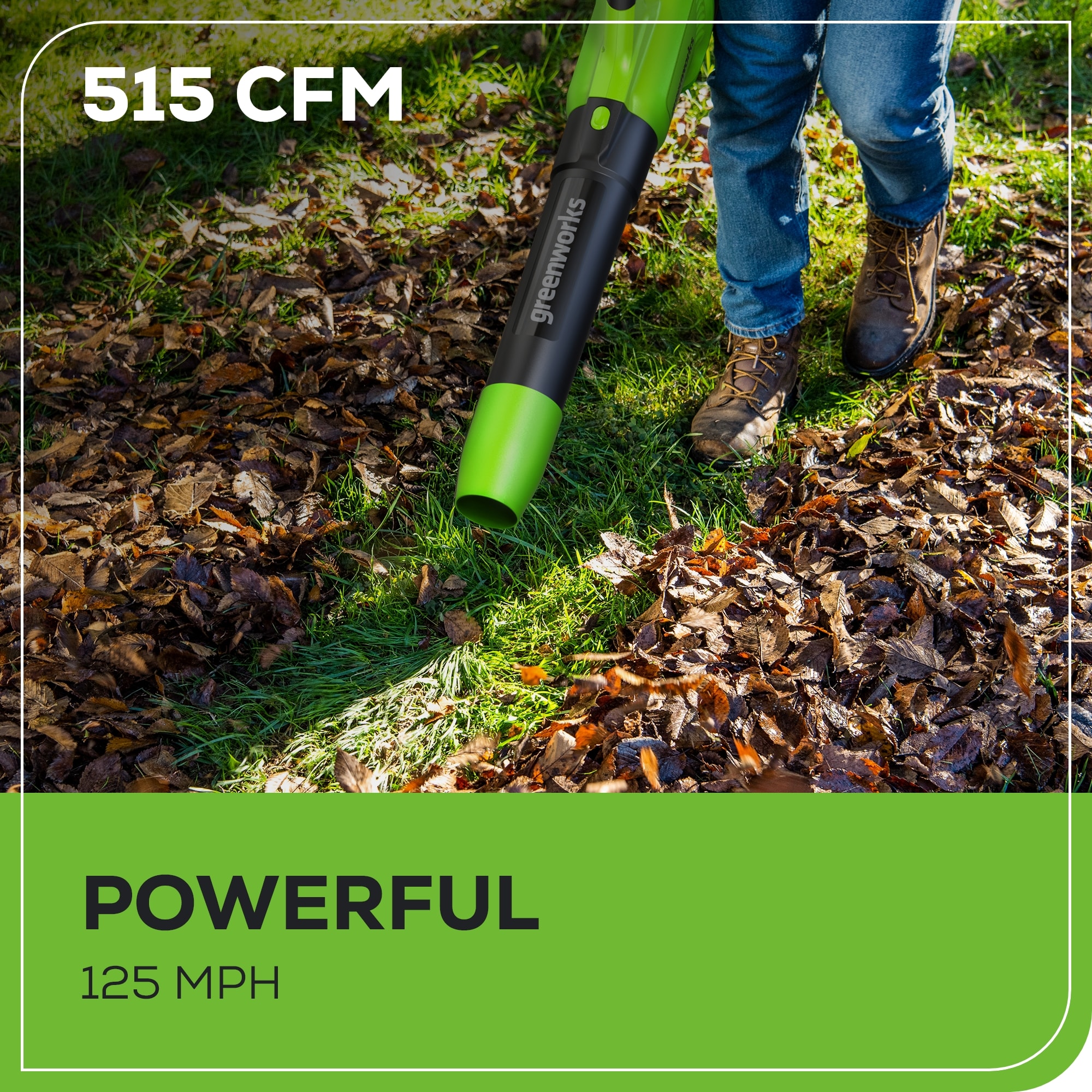 Greenworks BL48B2210 Cordless-Electric-Blowers - View #3