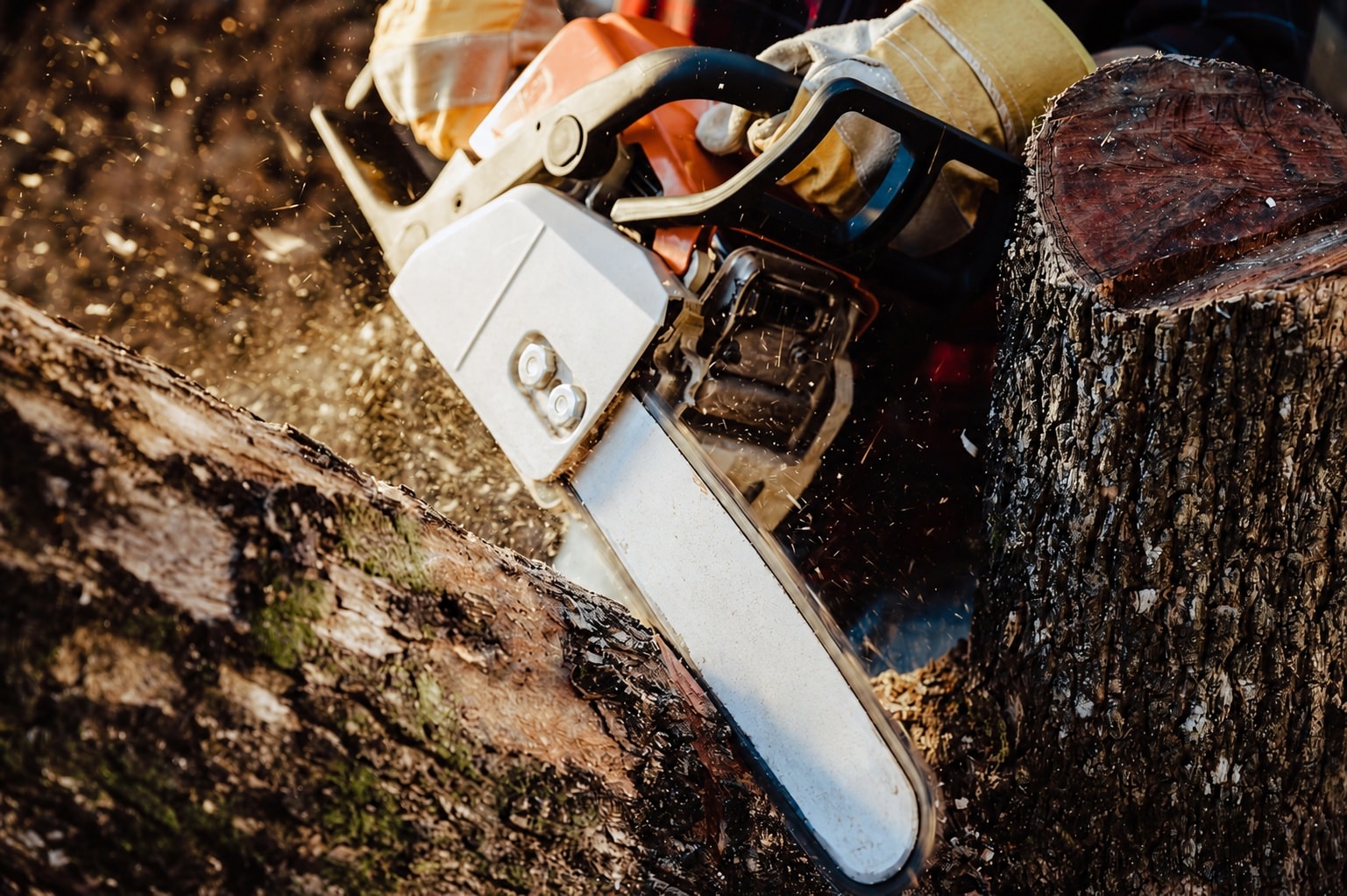 ITOPFOX LIT0529I019 Pole-Pruning-Saws - View #7