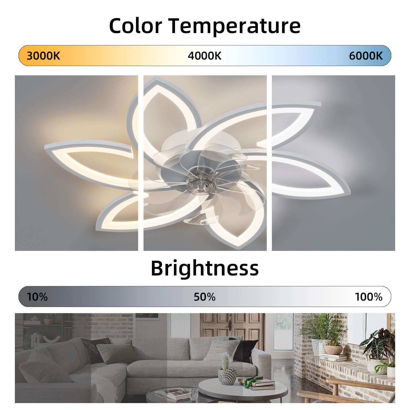 Bayfeve BFHM-68325-CF Ceiling-Fans - View #4